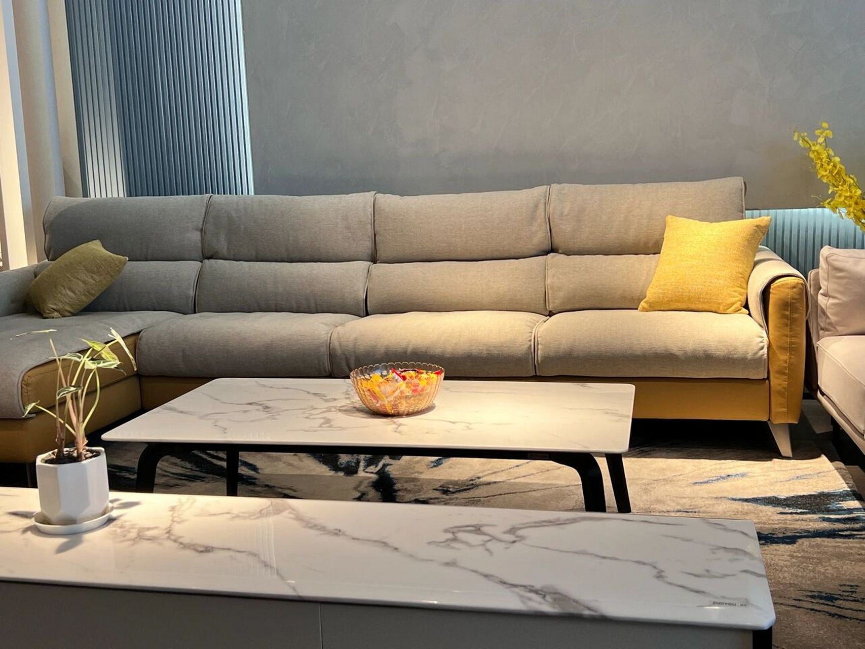 斯可馨沙发 终于把沙发确定了,由于养宠问题,以及预算问题,决定还是买