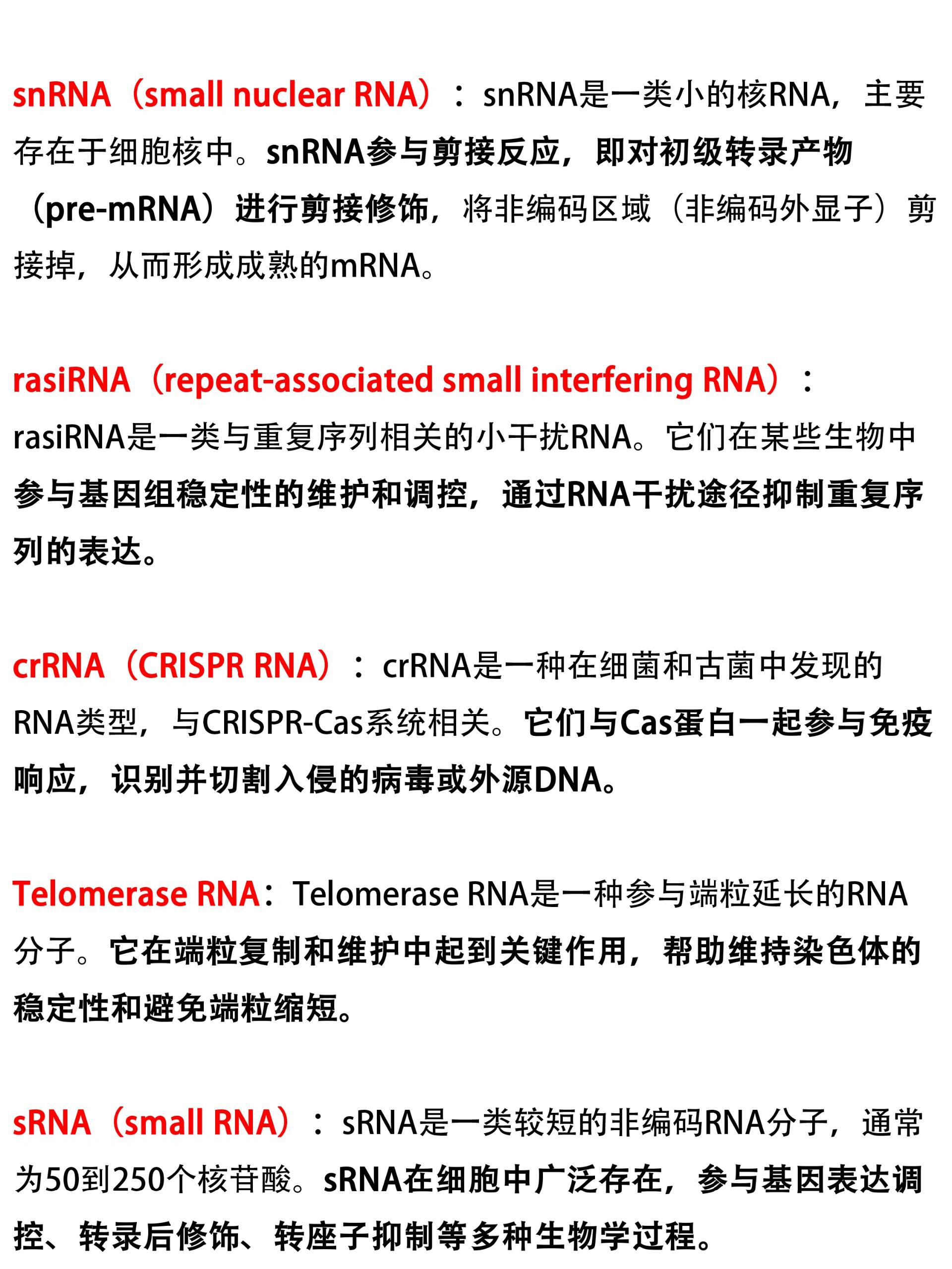 :与蛋白质一起组成核糖体,参与蛋白质合成