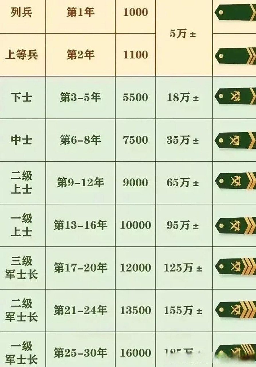 听说义务兵两年后退伍费,地方政府补贴,加上大学时的学费补贴,这些加