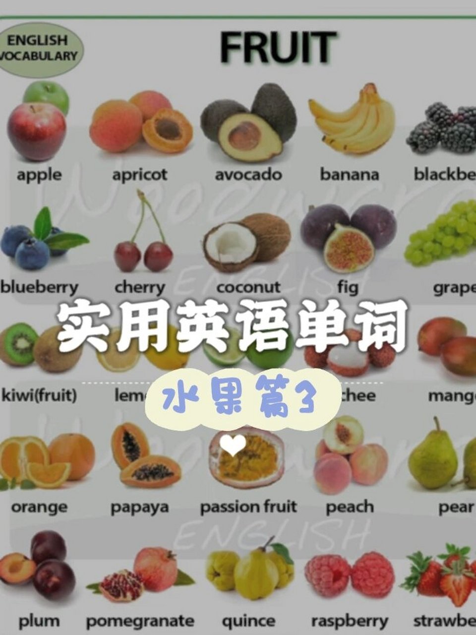 实用英语单词 |牛油果,荔枝,杨桃怎么说?