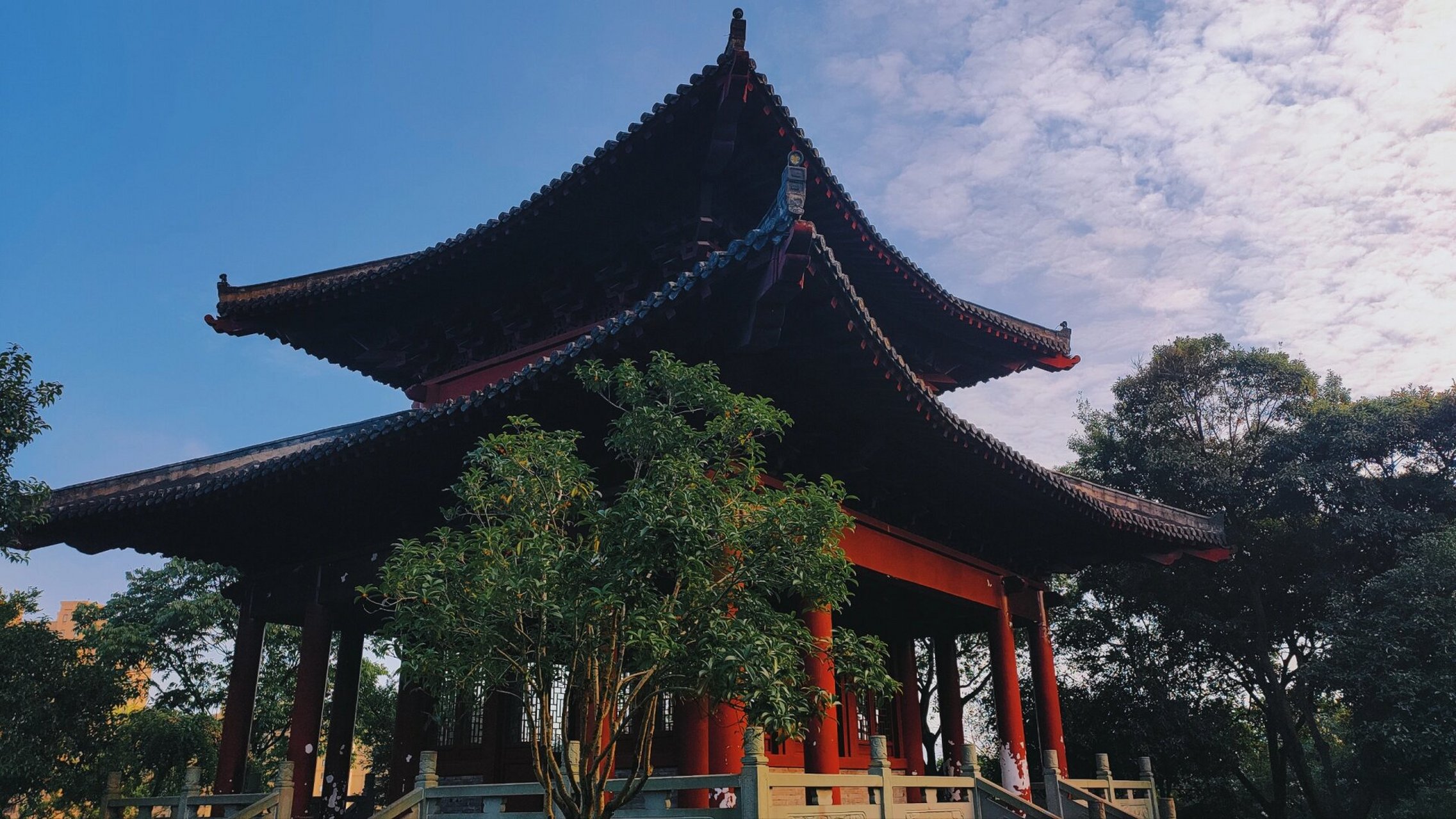 跑进花海,打卡姜山狮山公园!