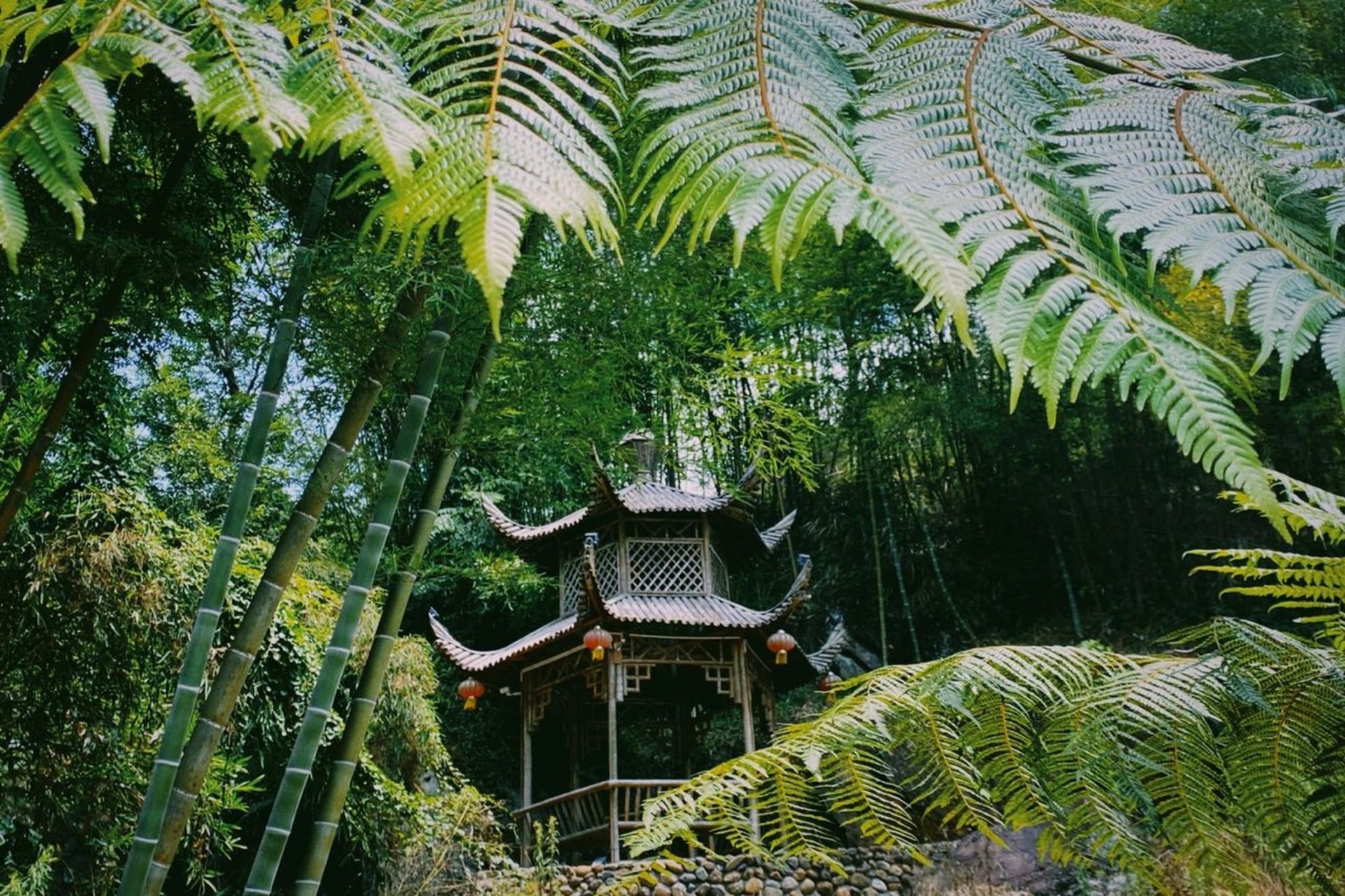 漳州景点-华安高石村 是漳州一个县城的小村庄 空气很清新 沿路想拍都