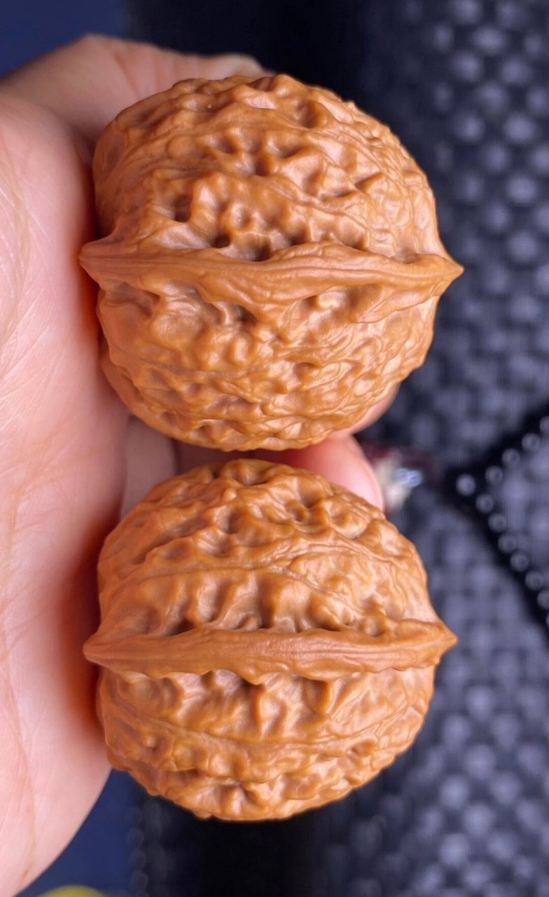 文玩核桃金牛!非常火热! 火热的品种,全品,边35/35.5肚34高36