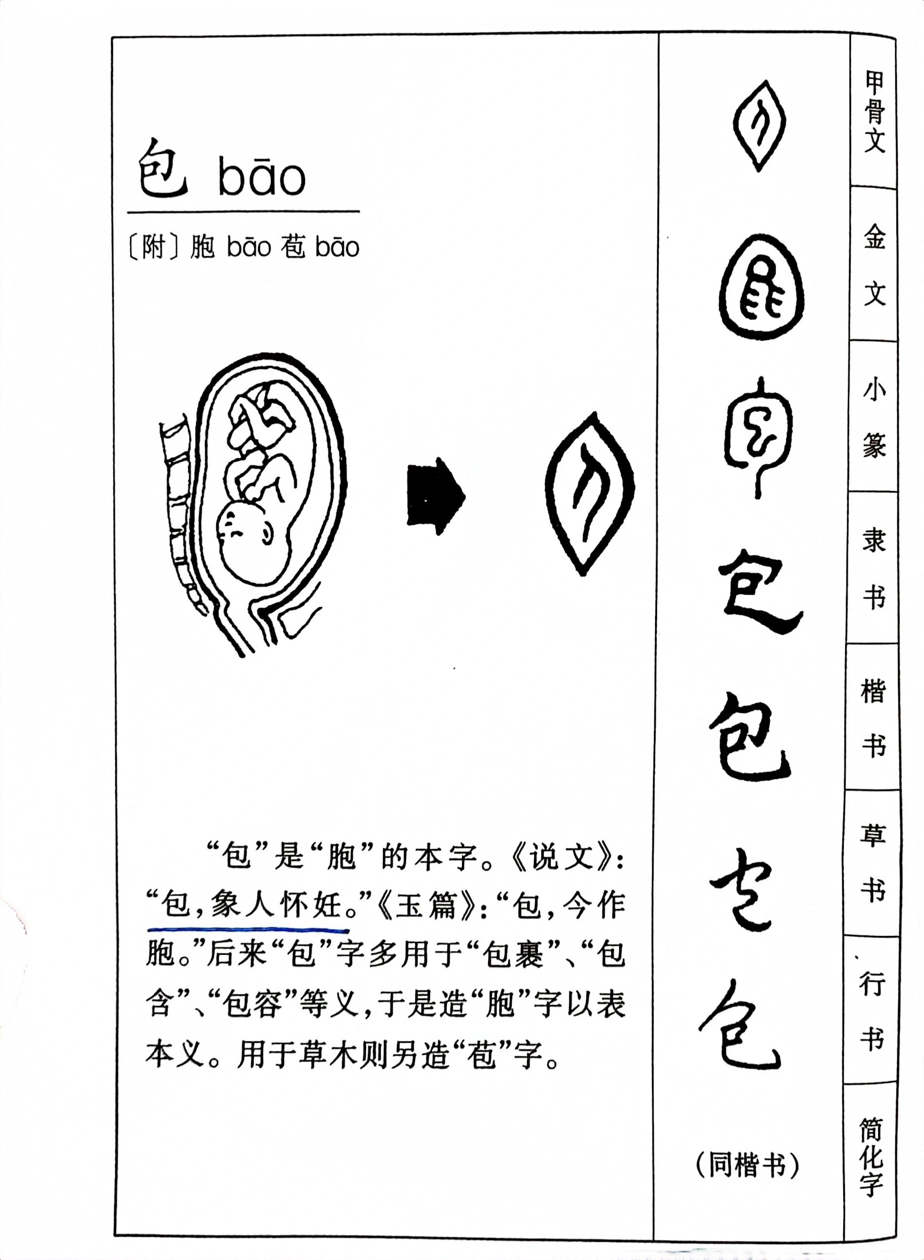 内字的演变过程图片图片