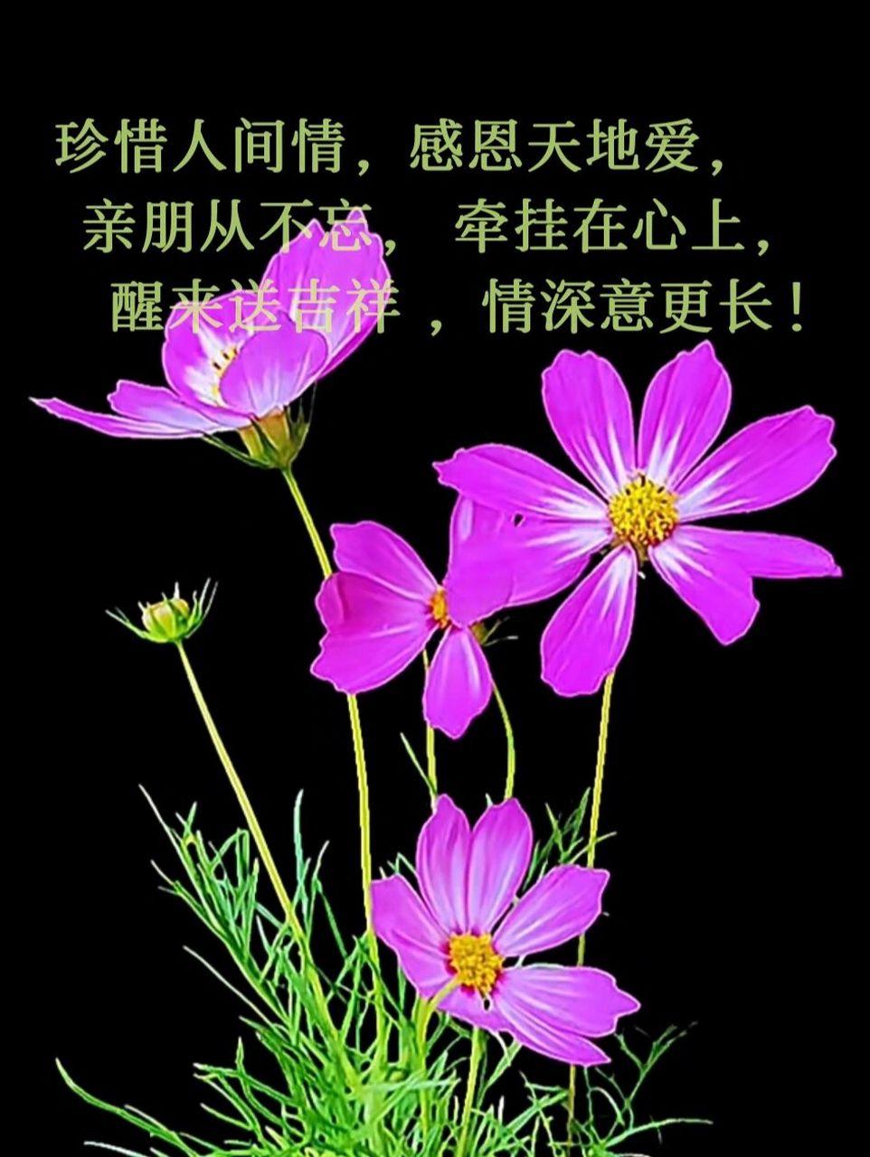 朋友圈早安问候文案图片 珍惜人间情, 感恩天地爱,亲朋从不忘, 牵挂在