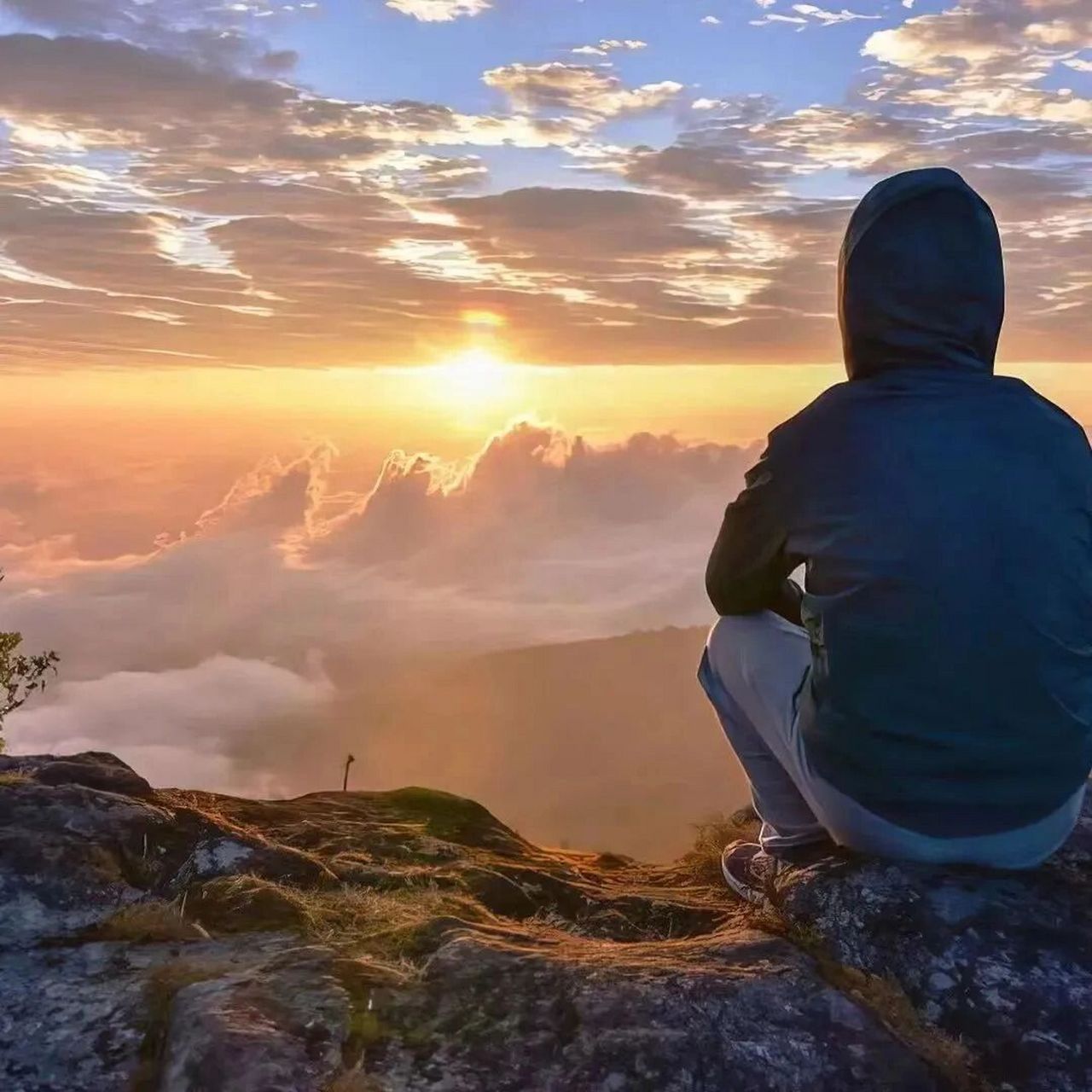 "自由感男头" 氛围感十足的一组男生头像,应该都喜欢吧 心向自由