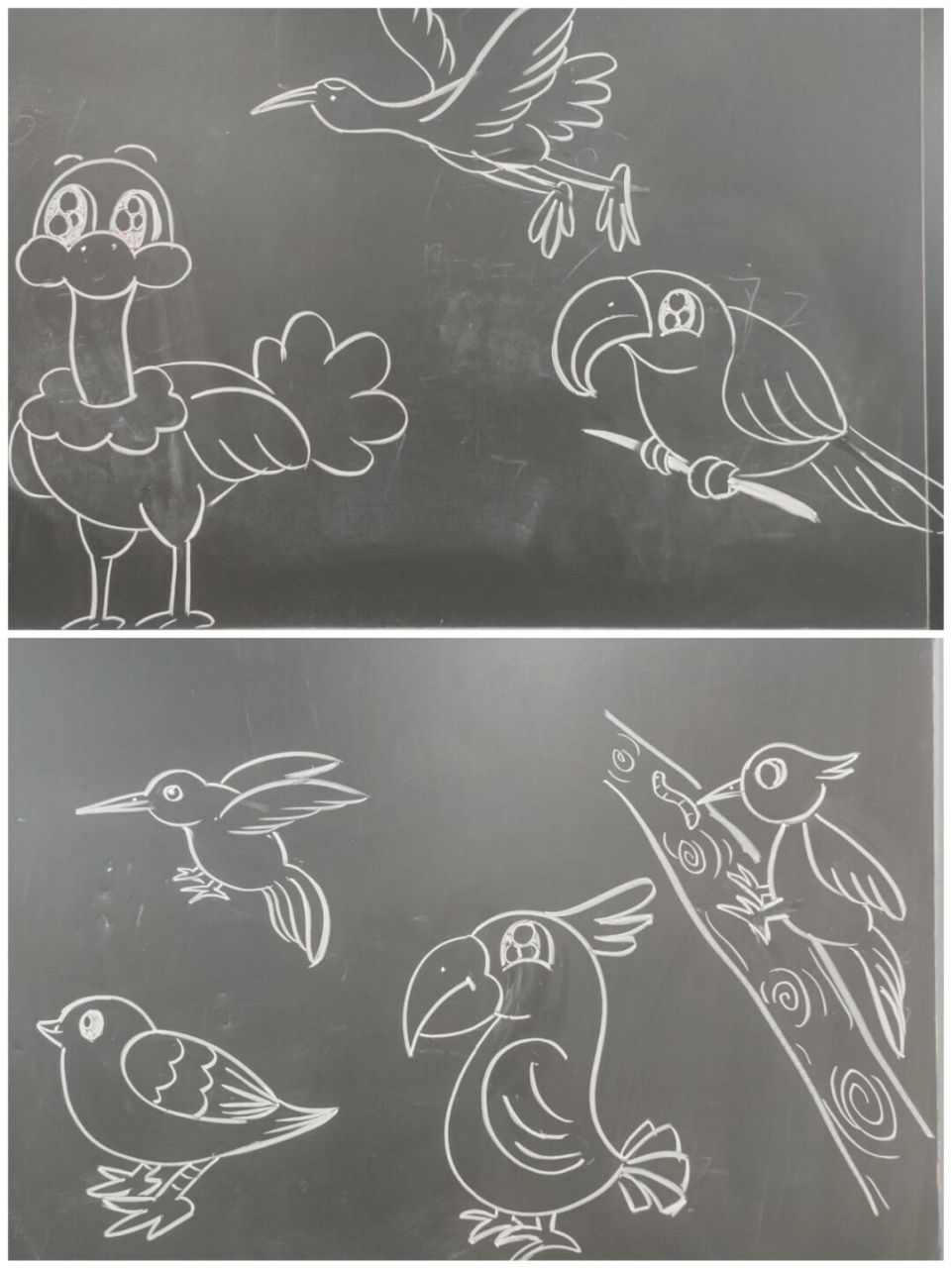 人美版小学美术课《我喜欢的鸟》粉笔画示范 #黑板画# #粉笔画# #简笔