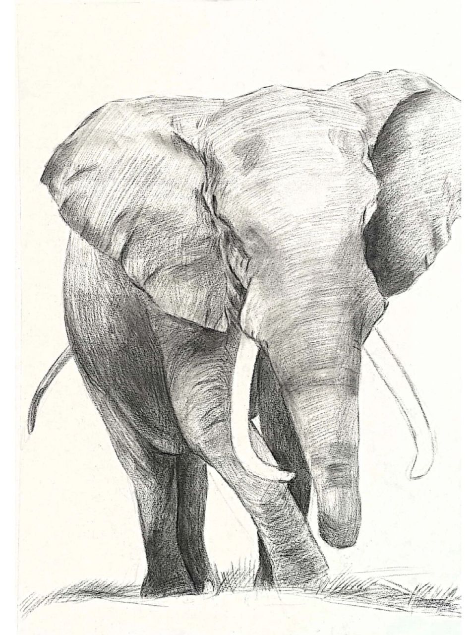 精微素描-大象‖象(有步骤) 适合9岁以上 作品纸张: 4k 步骤: 1,用