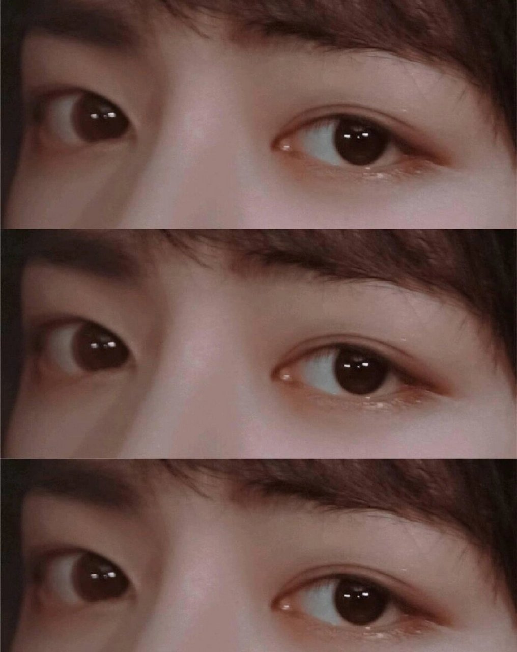 78 真的好喜欢他的眼睛,眼型真的太好看了,整个就是个小山雀 又大又