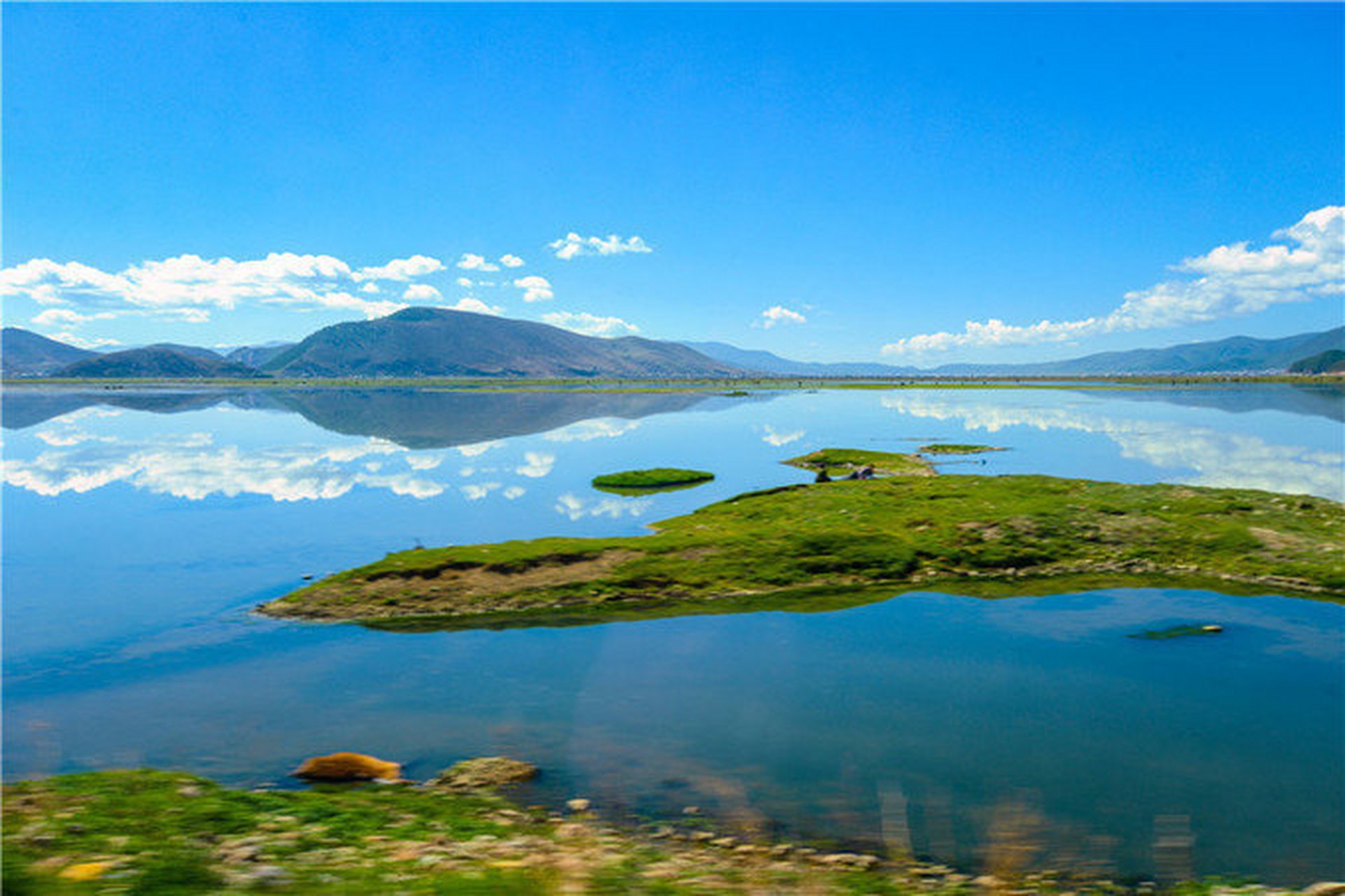 依拉草原/纳帕海,看牛羊在草甸上安详地吃草!