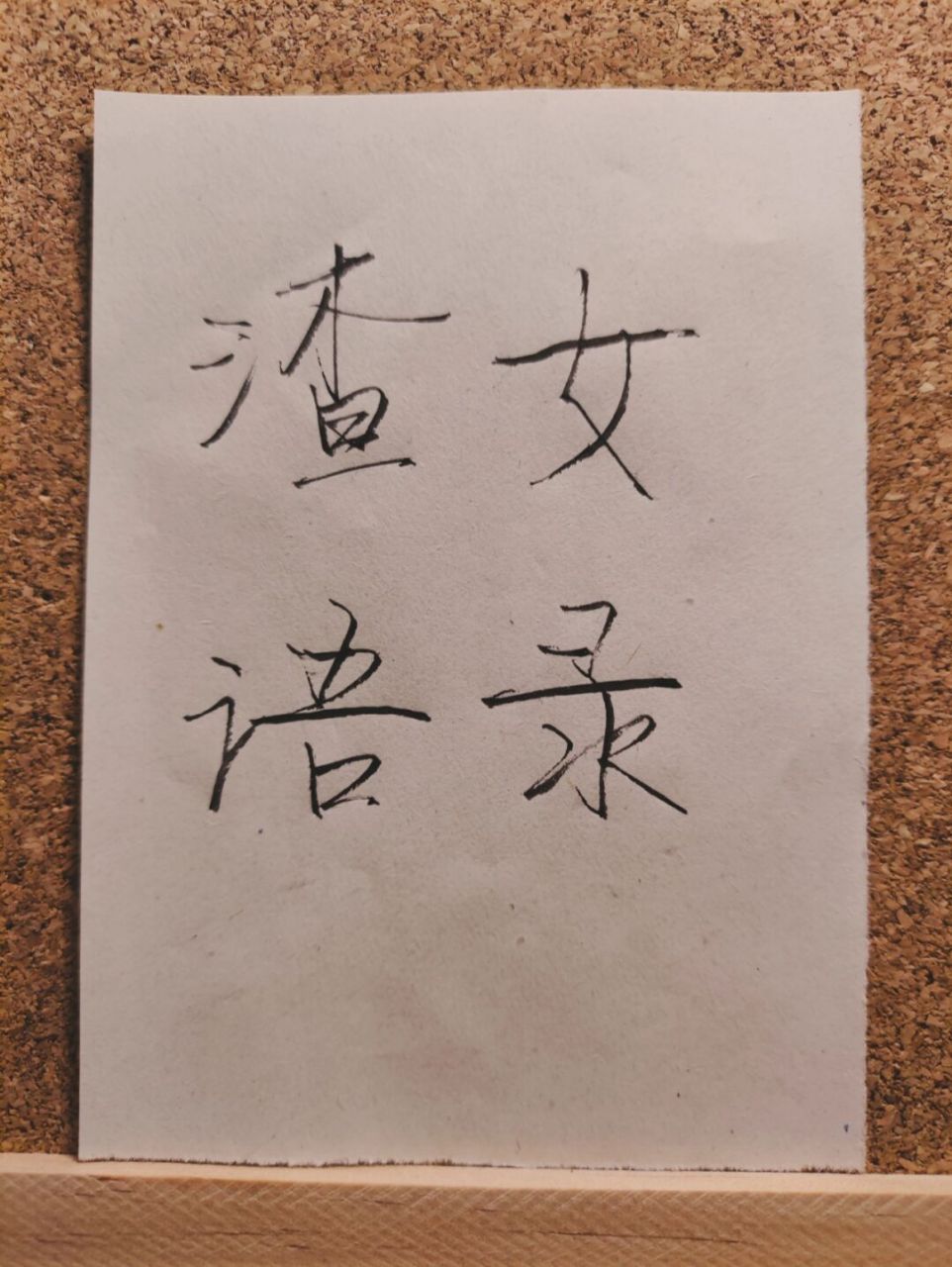 渣女语录,男生请注意060606 #手写# #文案# #渣女