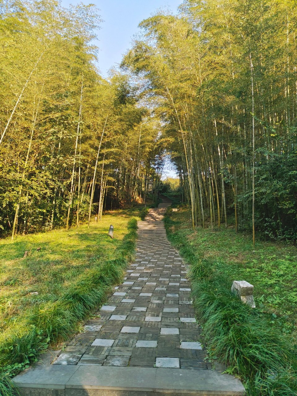 仪征龙山森林公园,小众景点,不错