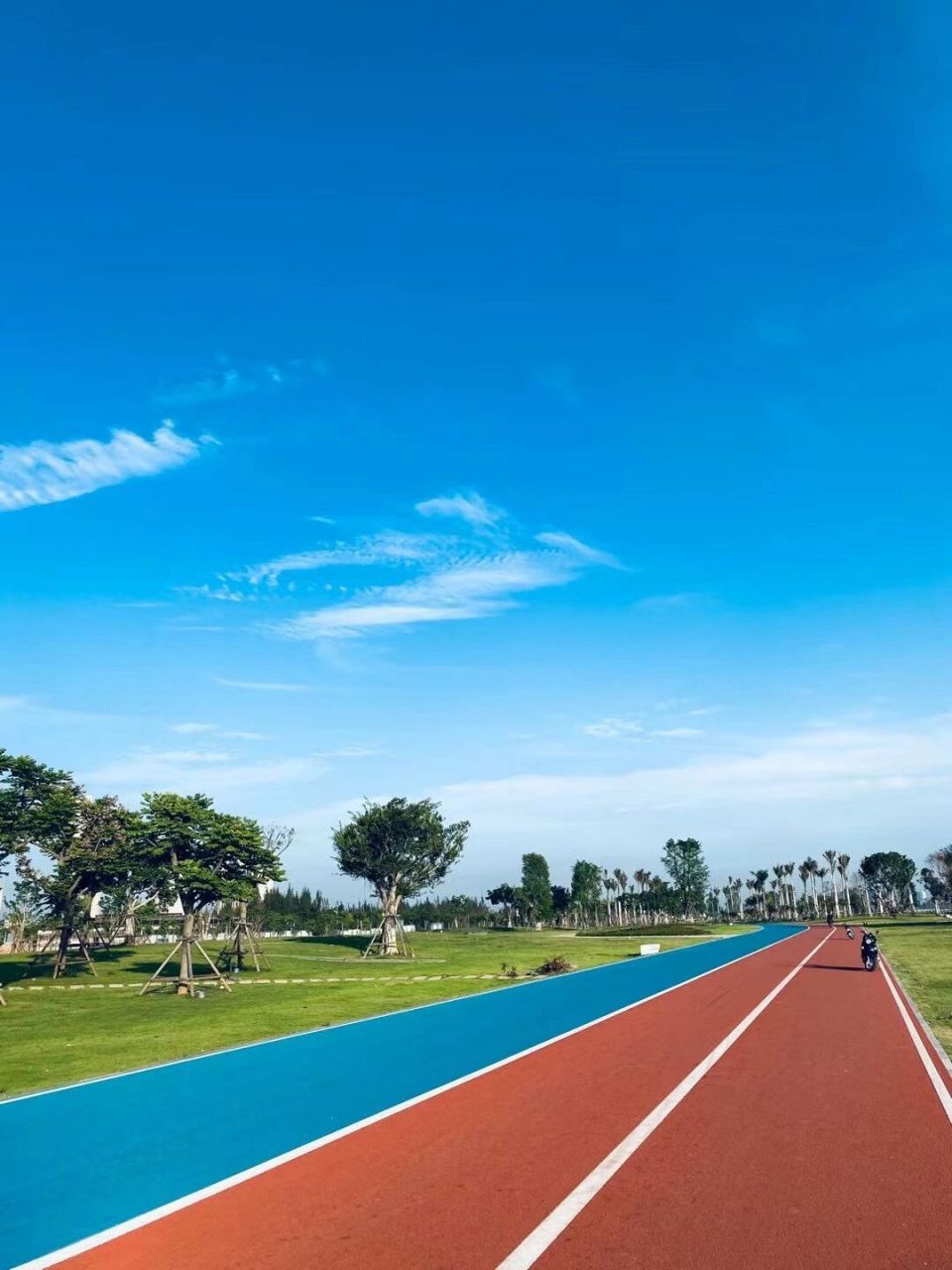 厦门最美彩虹跑道 7815隐藏在环东海域浪漫线的一一彩虹跑道96