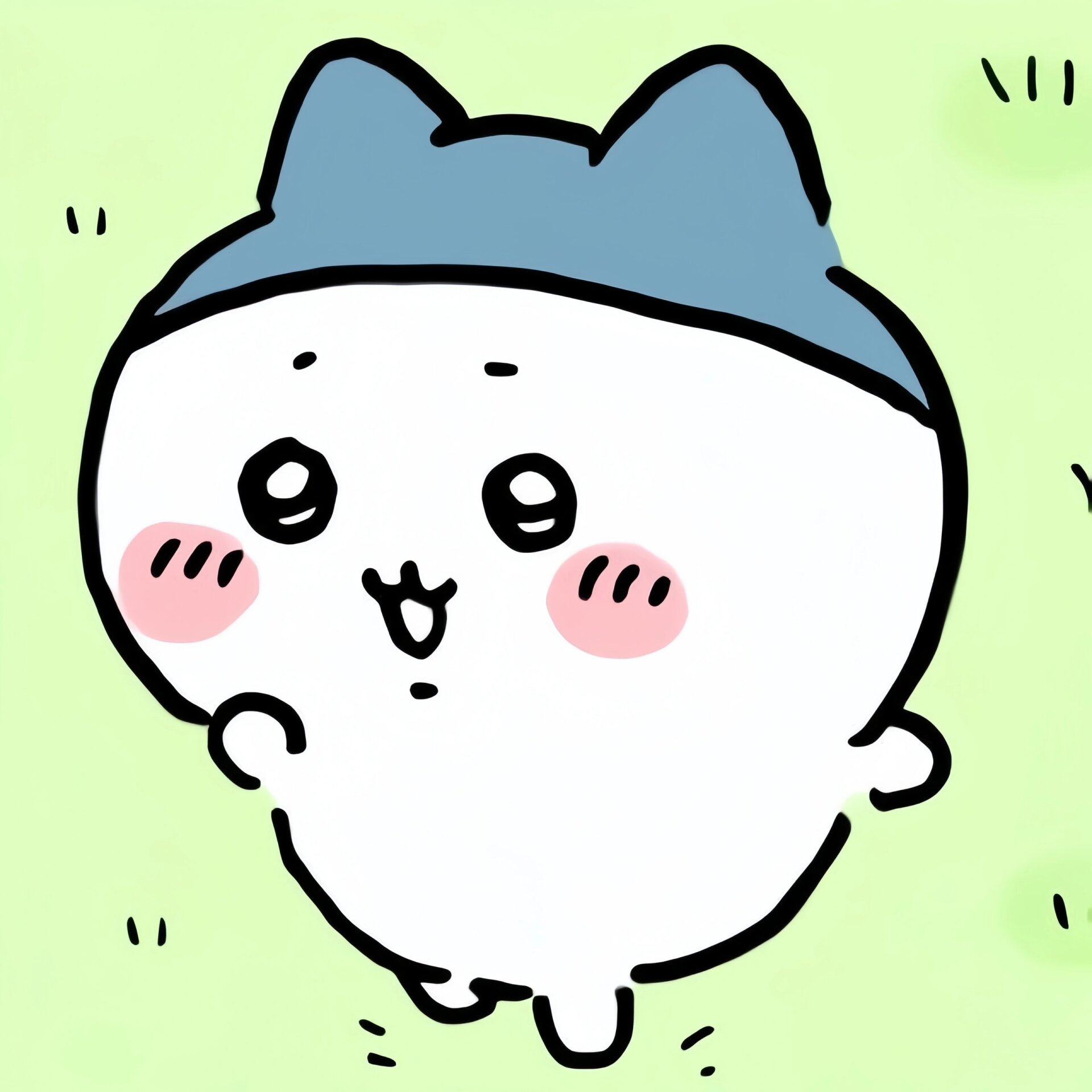 运动系猫咪之平头小八