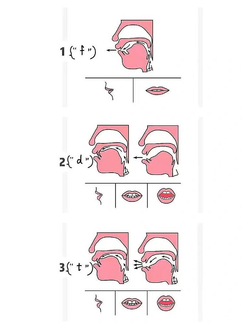 95浅浅谈一下练弹舌音有哪些方法 最近很多宝宝9290们问我,怎么