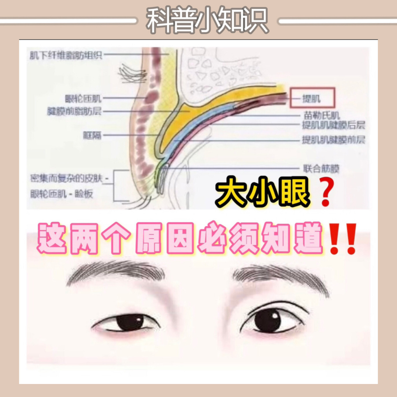 01为啥会大小眼71这两个原因很多人都不知道 9215那么如何