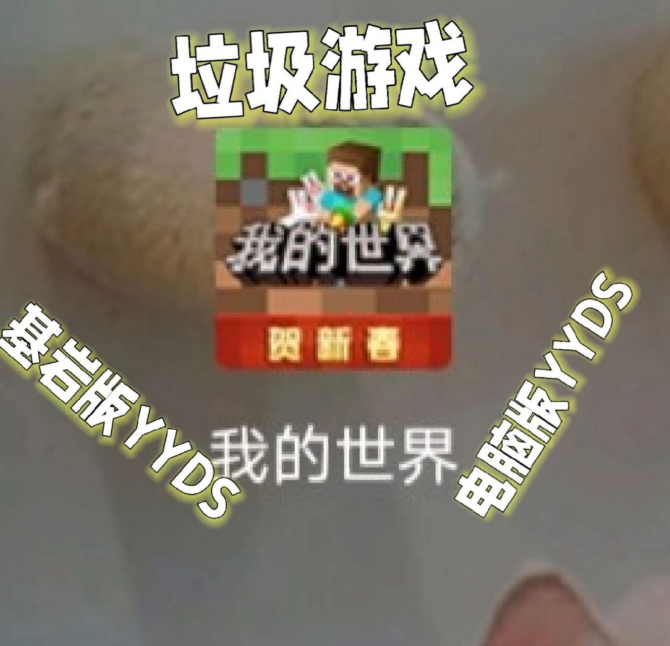 我的世界 #我的世界 这游戏是真垃圾,玩家素质低的一批,动不动就骂人