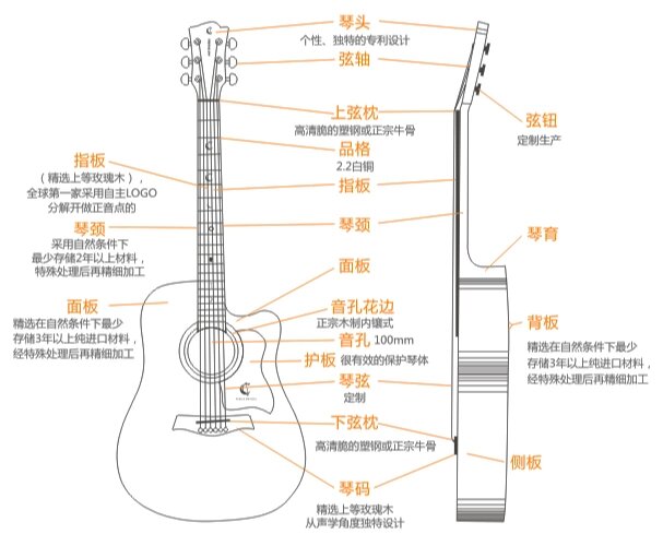 🔥分享一张吉他各部位构造的详细图解