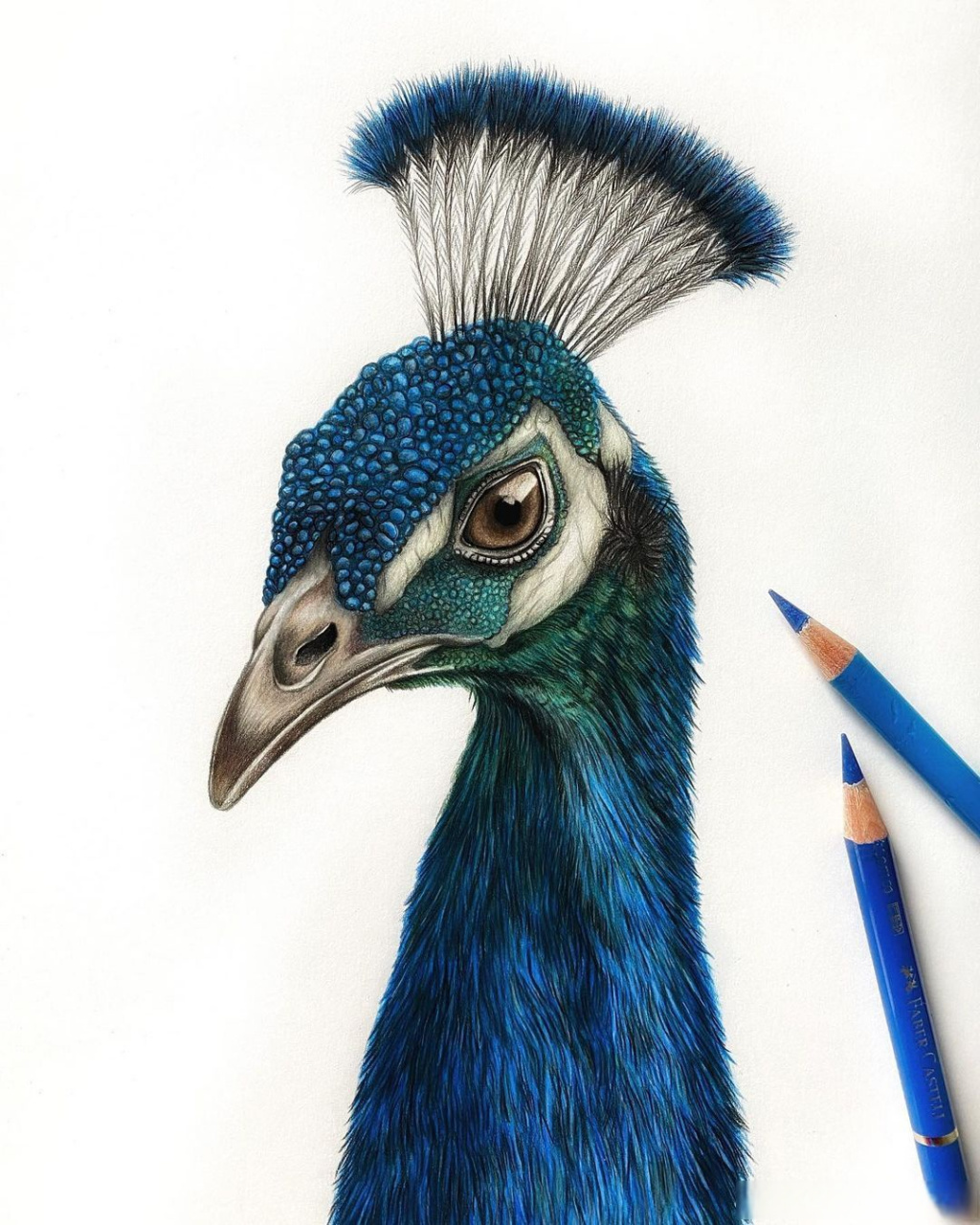 画家米娅彩铅动物画