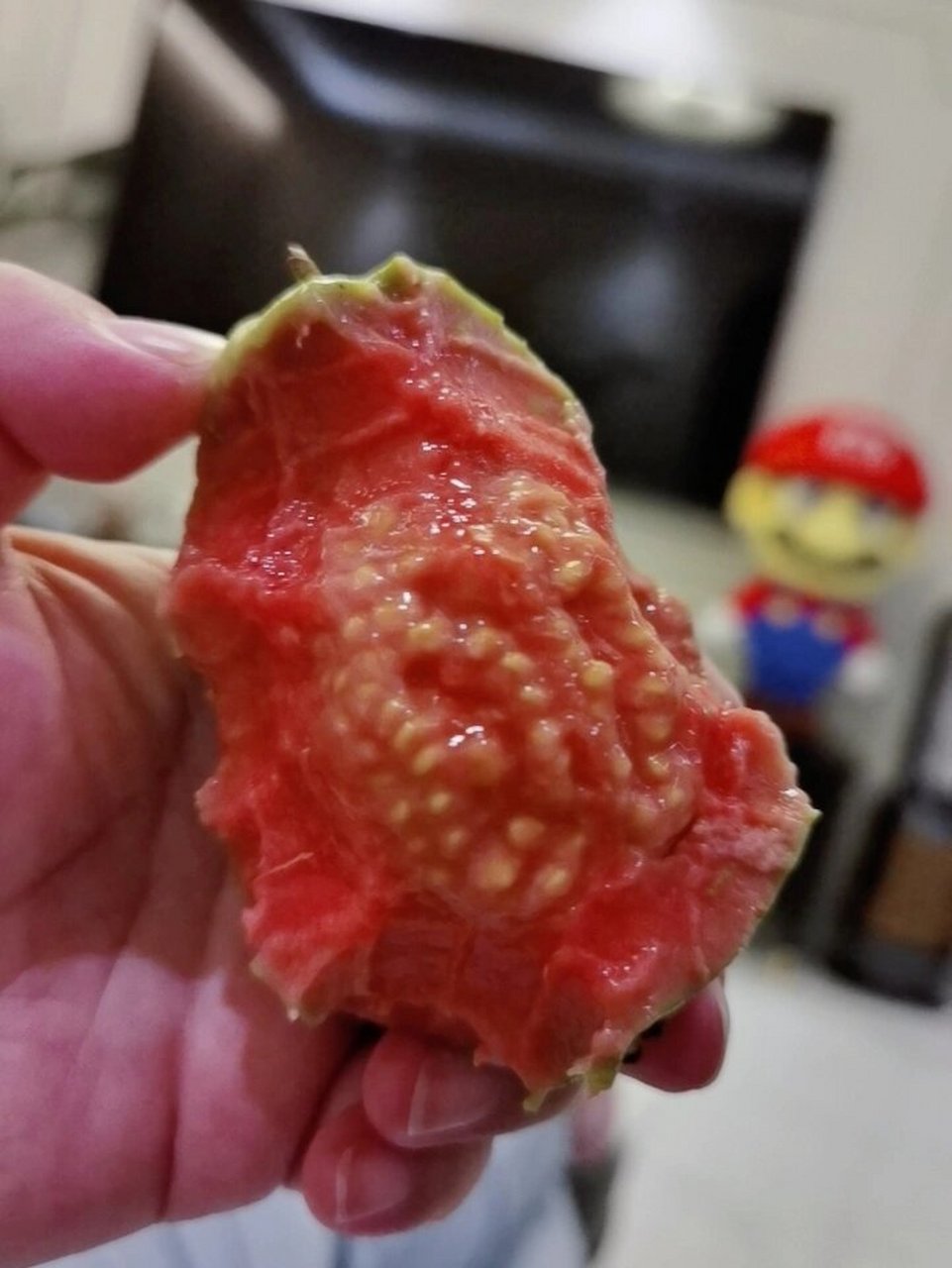 这个东西的籽差点把牙硌掉09 芭乐好吃,就是籽太硬,你们都吞下去吗?