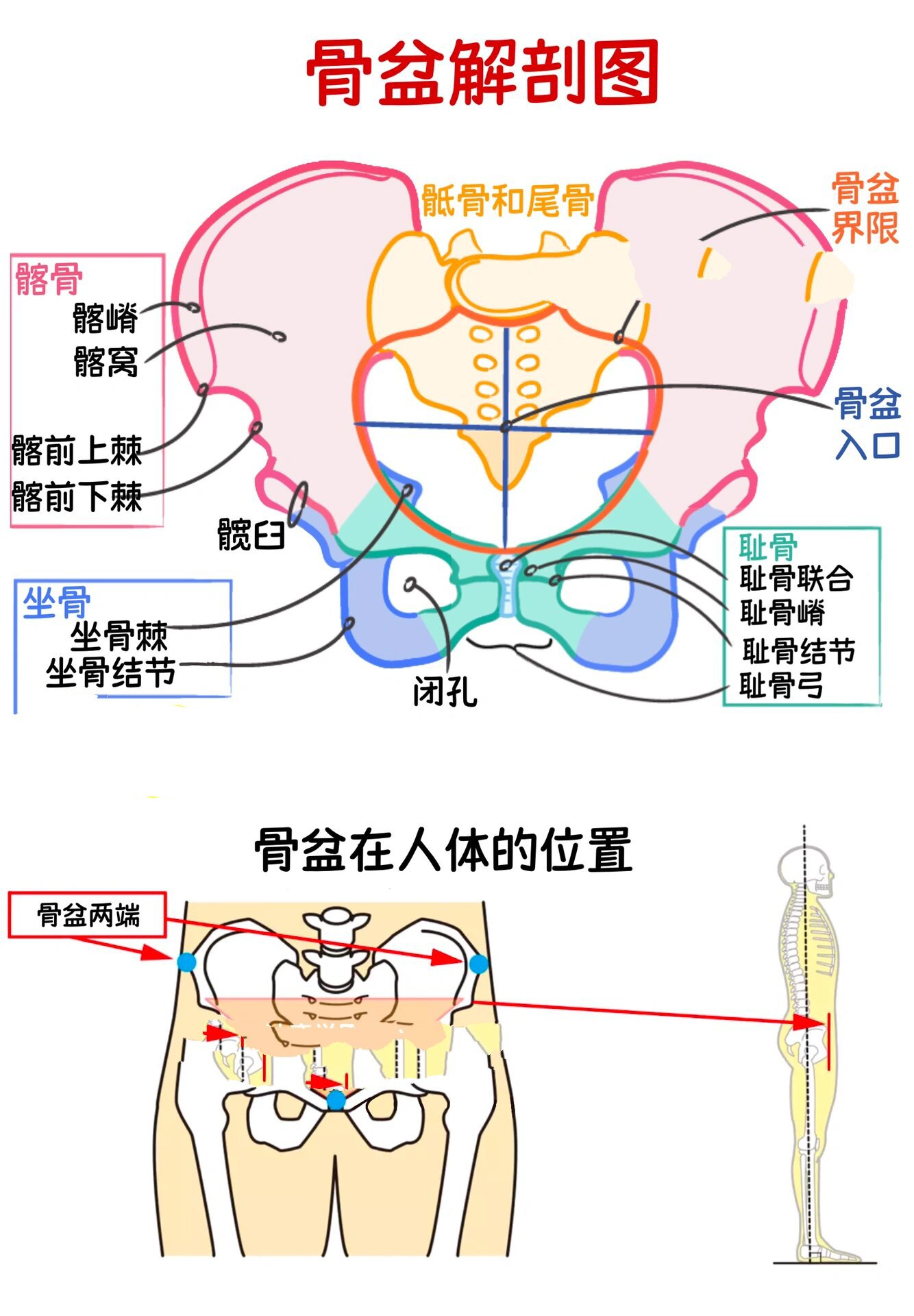 科普106