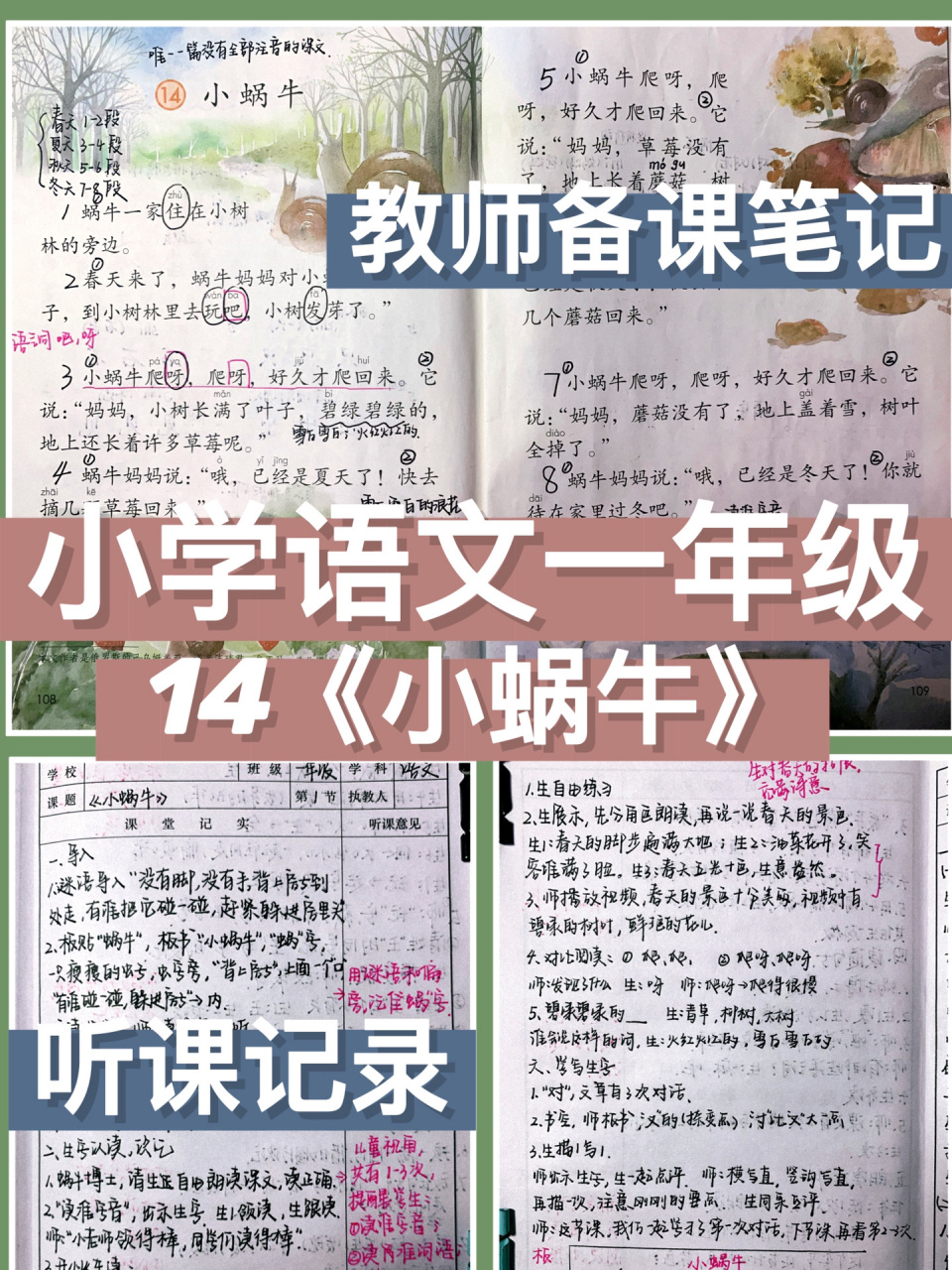 听课记录16/1009215|小学语文一年级《小蜗牛》 019969