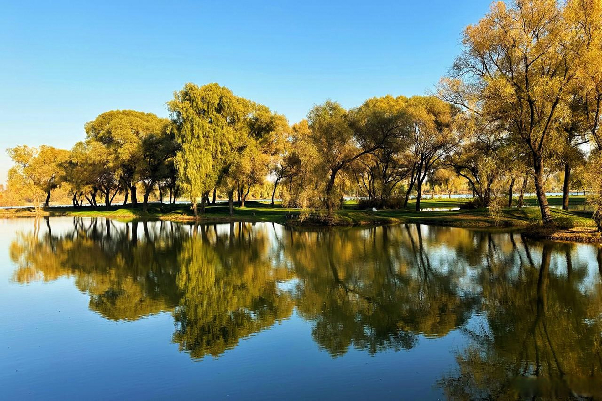 第二个春 此时 每一片叶子 都是一朵鲜花                    --加缪