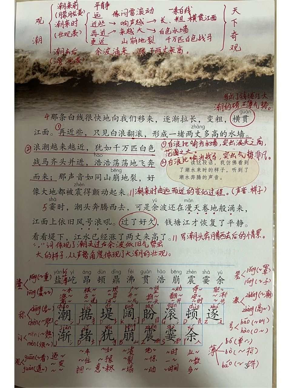 四年级上册语文《观潮》笔记,板书,课后习题