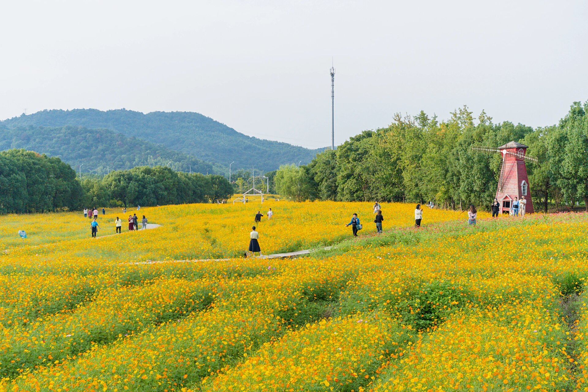 不用门票的景点推荐 定位荪湖公园,全免费人也不算多.
