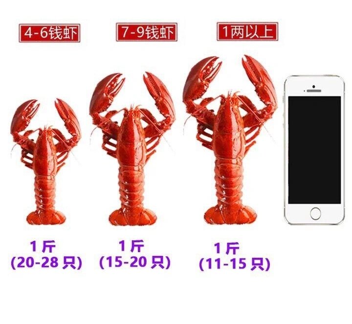 小龙虾大小怎样划分?