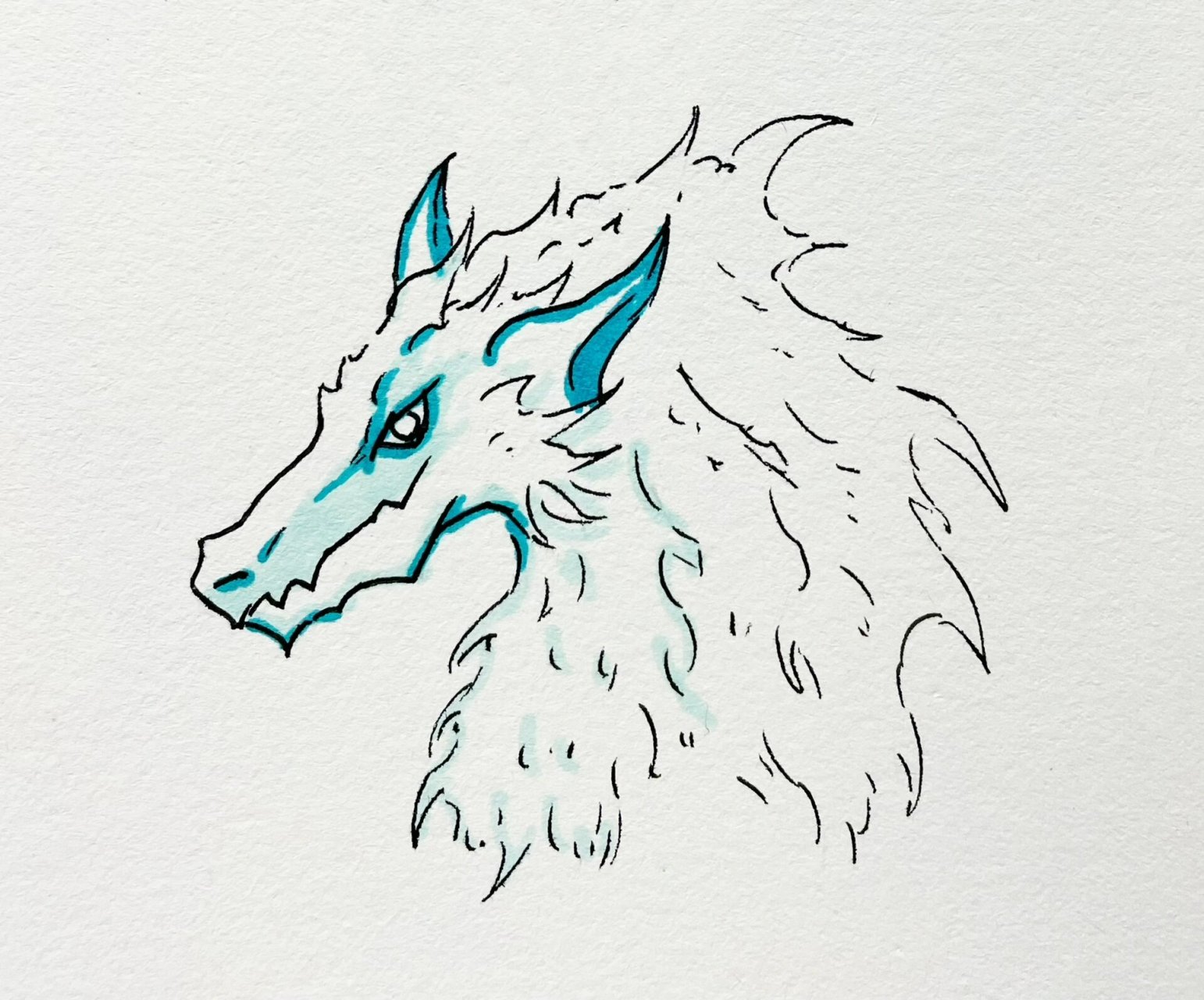 西方龙种绘画(狮心龙)