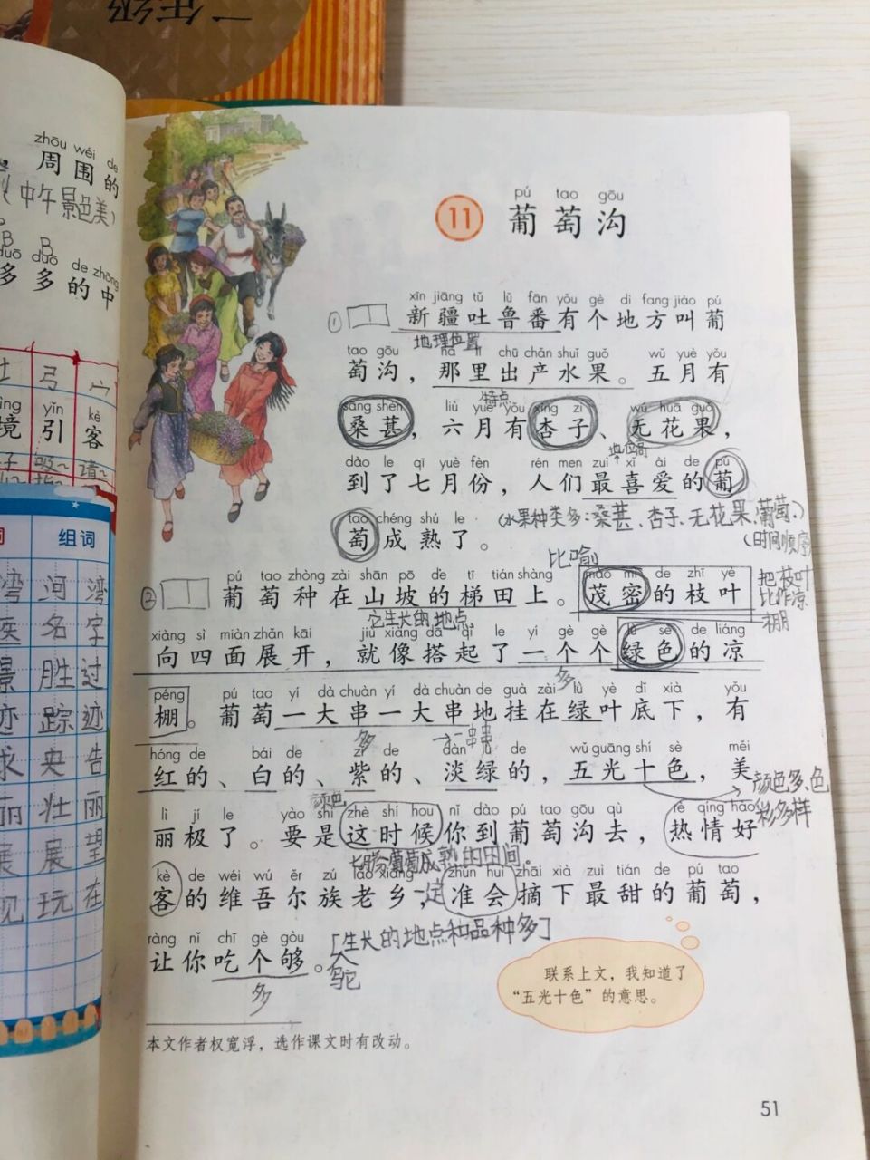 二上语文《葡萄沟》学生笔记