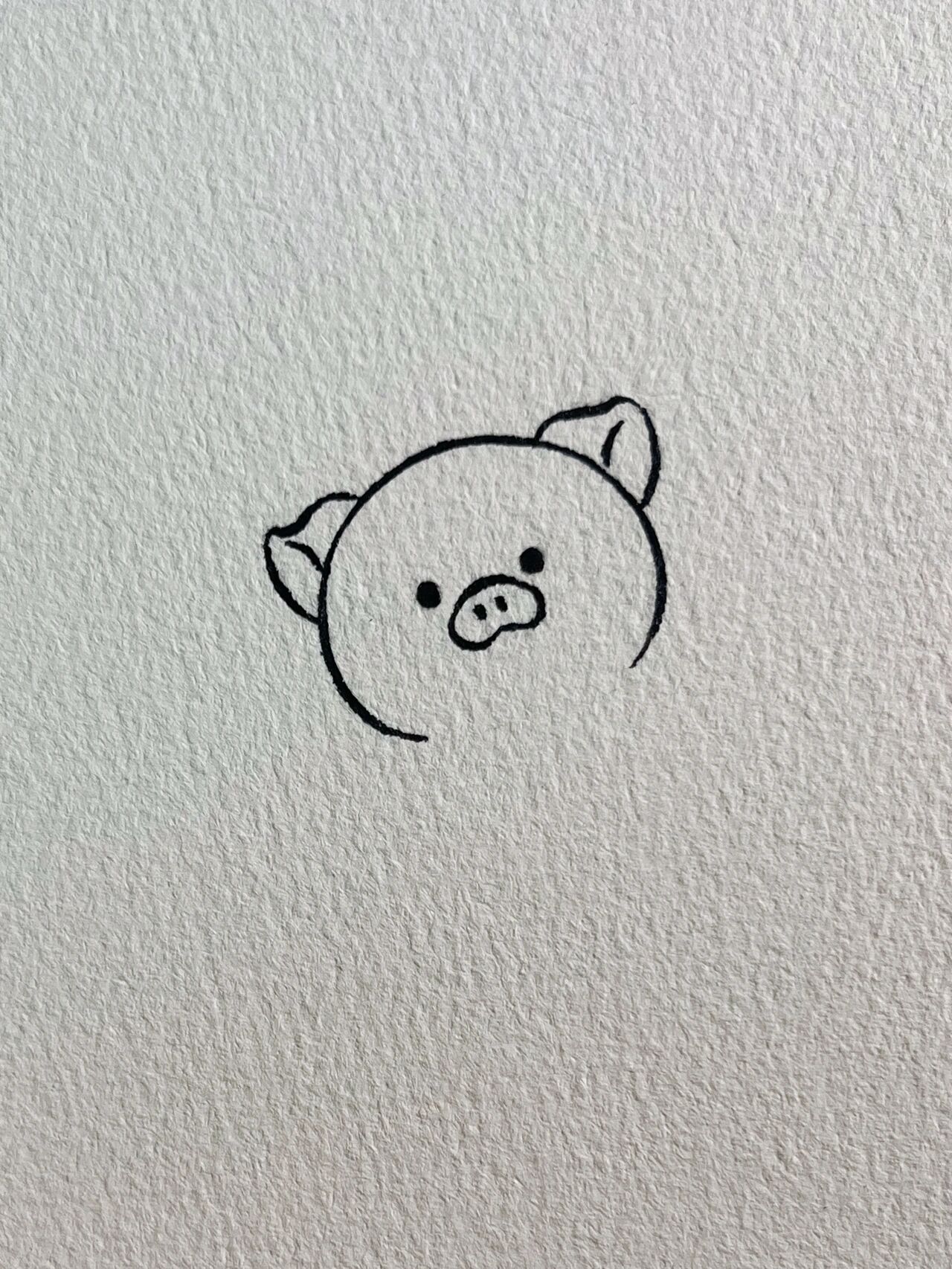 每日简笔画教程70|超可爱小猪99简笔画教