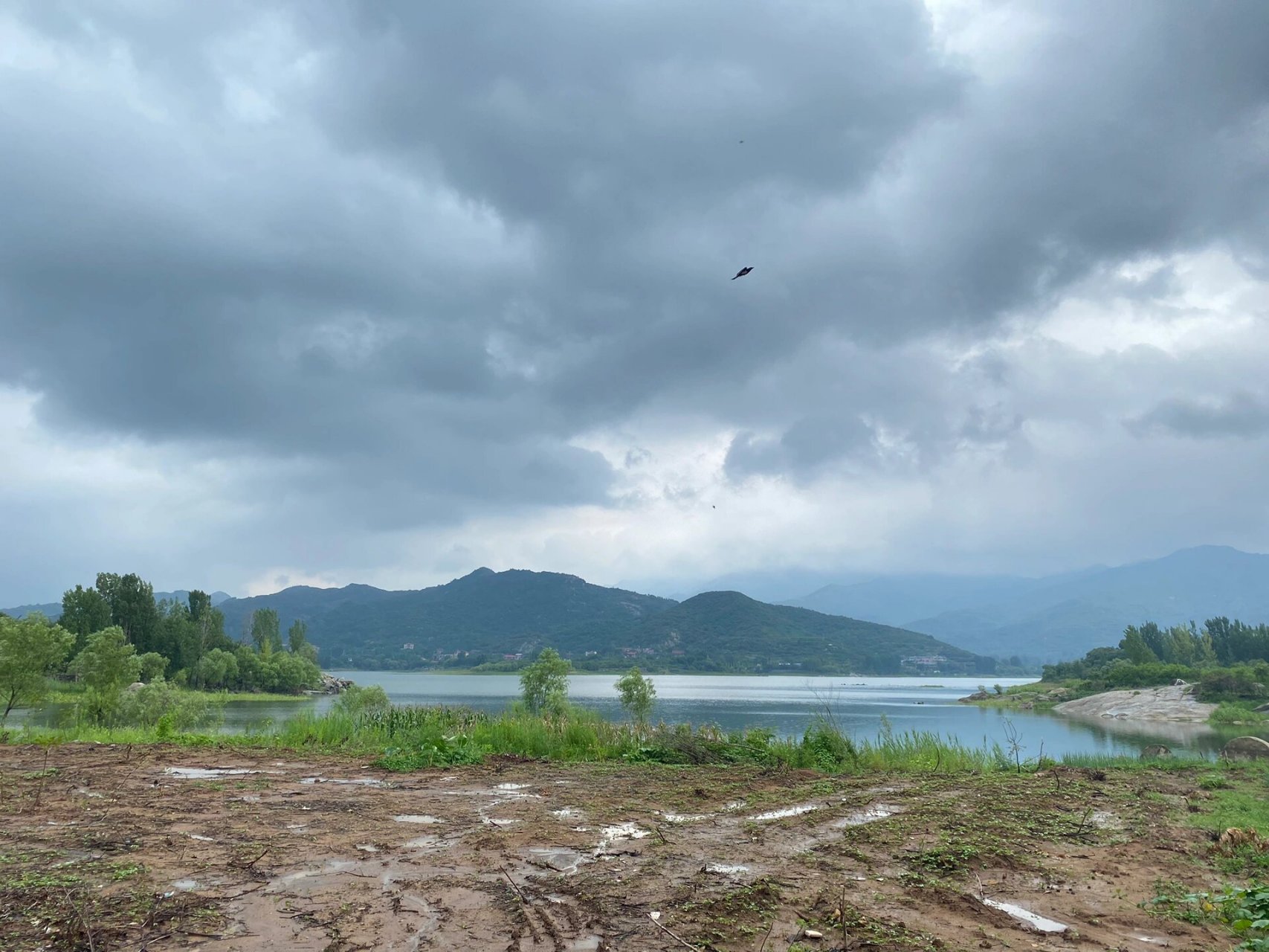 泰安黄前水库 暴雨过后的黄前水库真美,路过在水边玩了会,还捡了