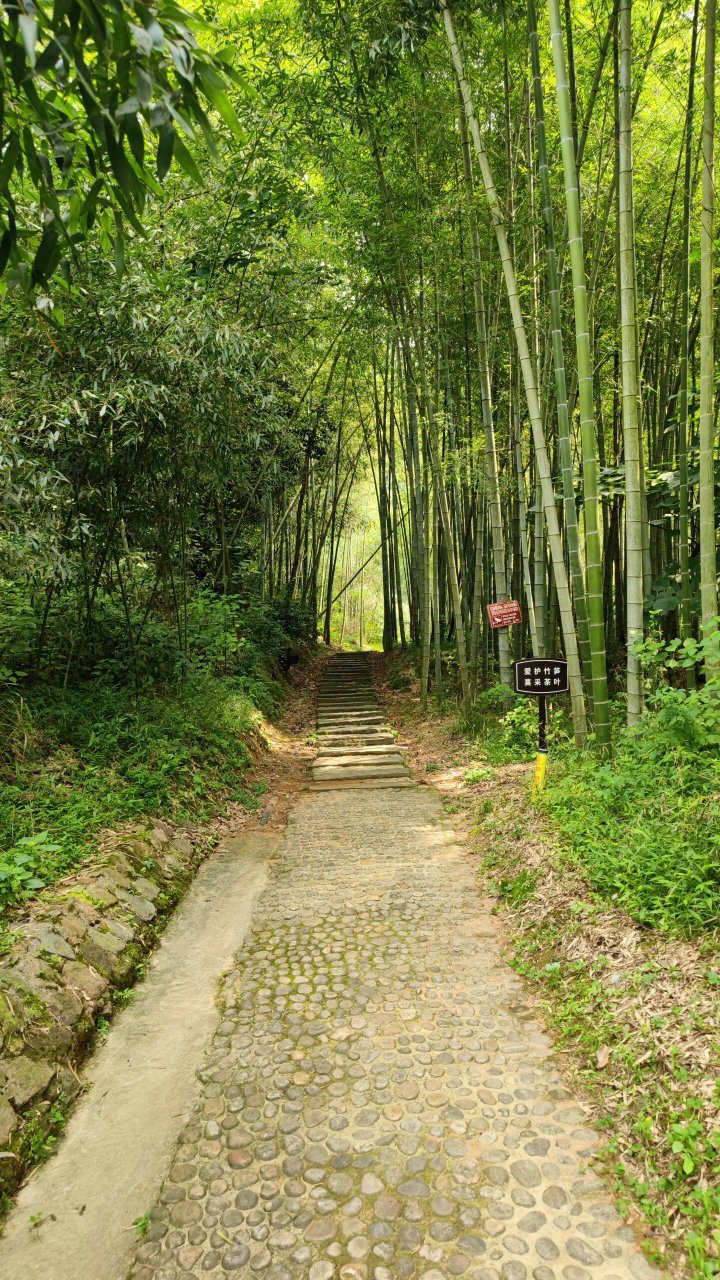 合肥周边溯溪之六安龙井沟 从红石谷景区出来驱车半小时到达龙井沟