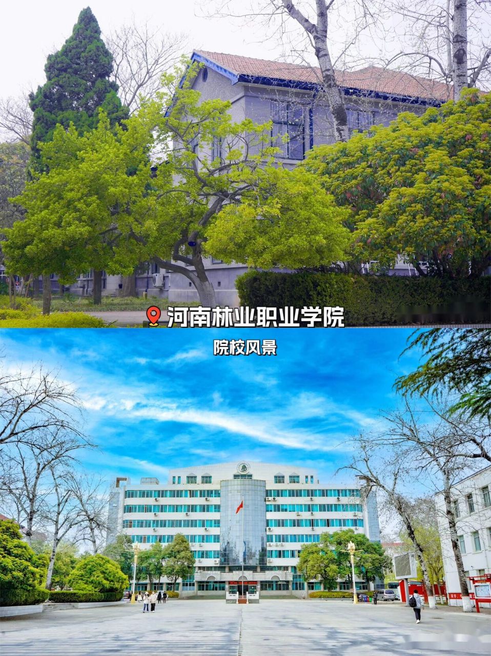 河南林业职业学院照片图片
