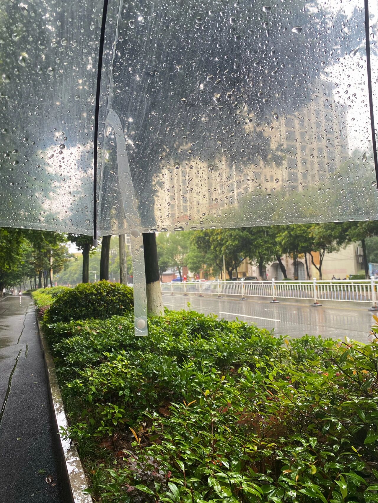 城市白天下雨真实图片图片