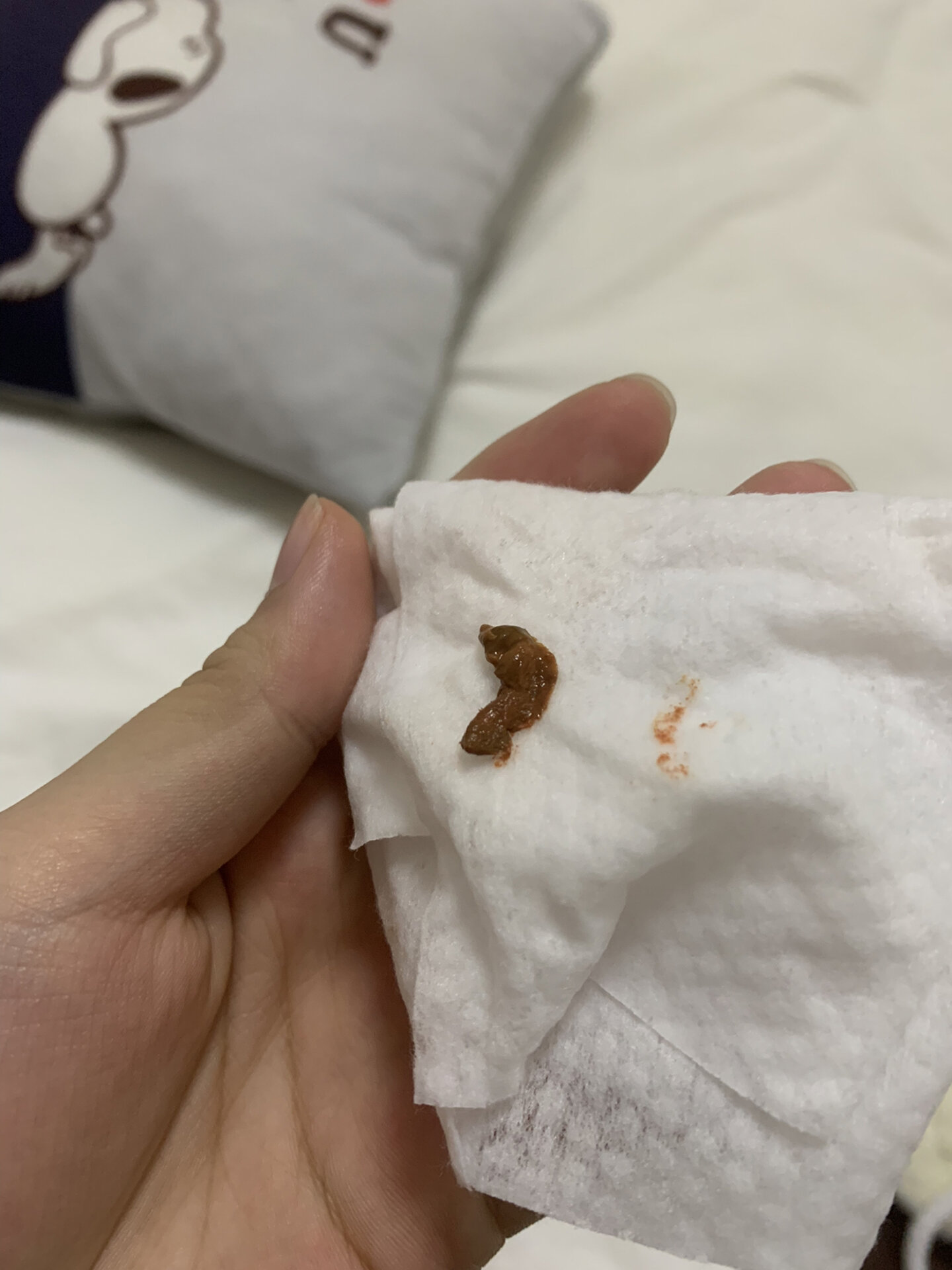 蜜袋鼯粑粑这个颜色不正常吧   已经两个多月的奶油  接回来就没看到