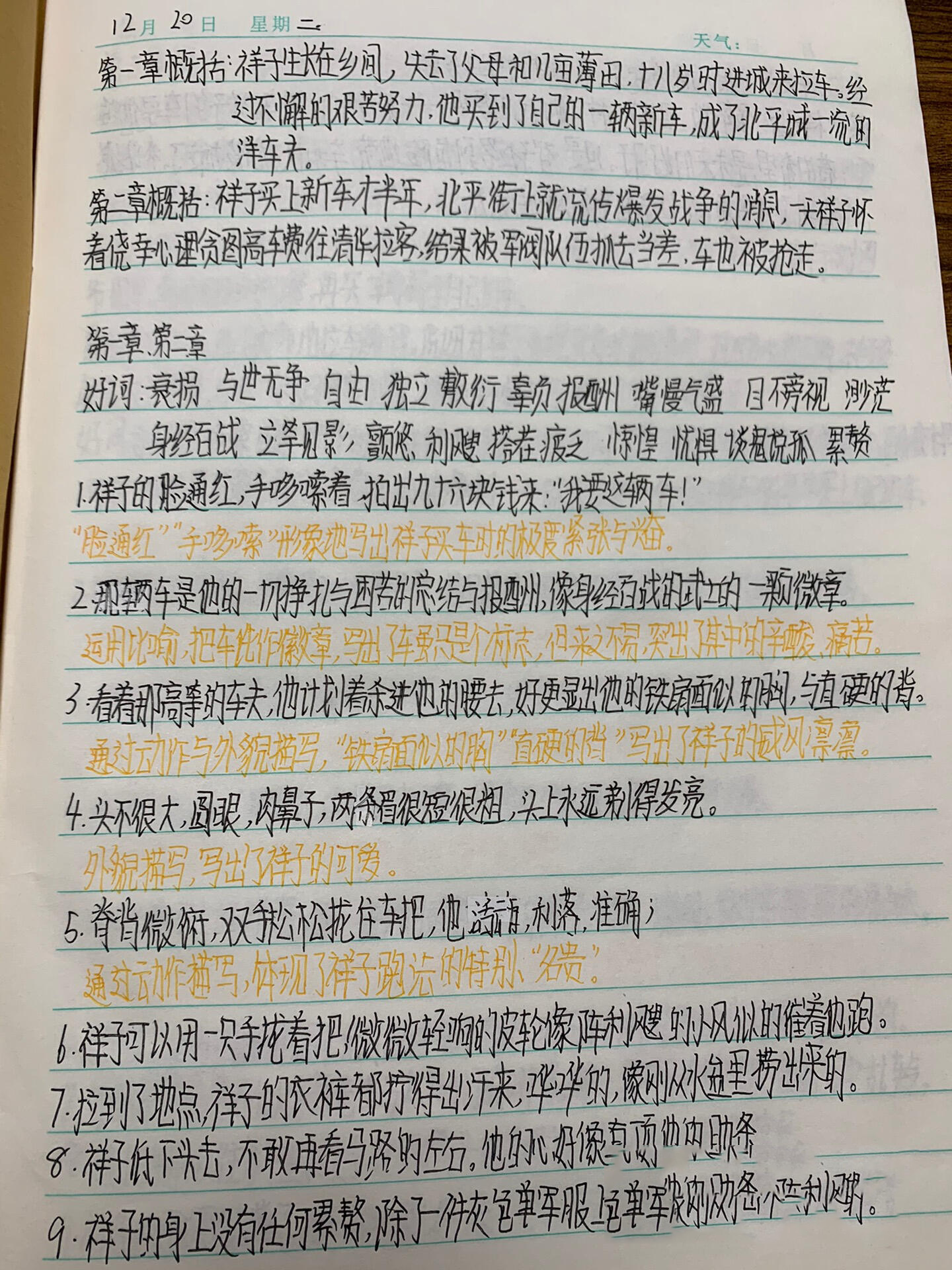 《骆驼祥子》读书笔记