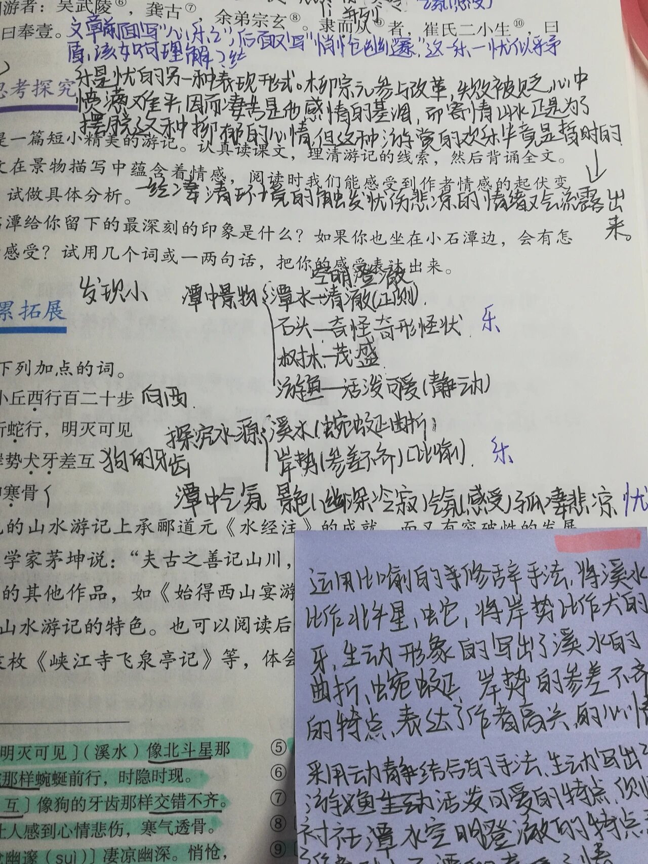 《小石潭记》学习笔记