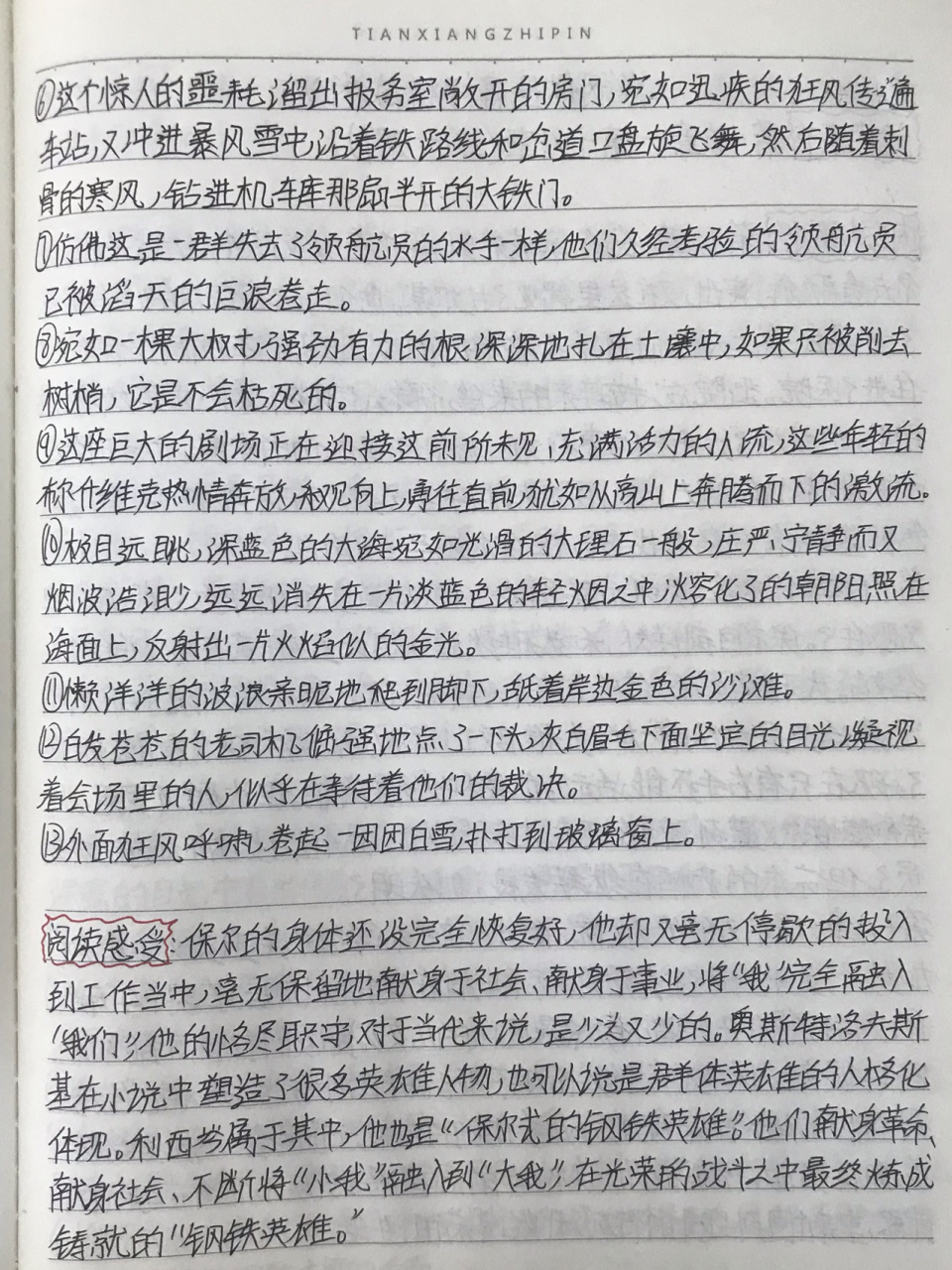 《钢铁是怎样炼成的》13-15章读书笔记