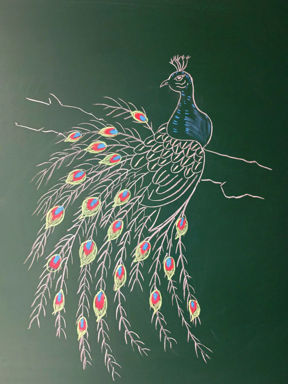 画出孔雀脚上抓住的树杆 5.丰厚一下羽毛 6.最后给孔雀涂上颜色