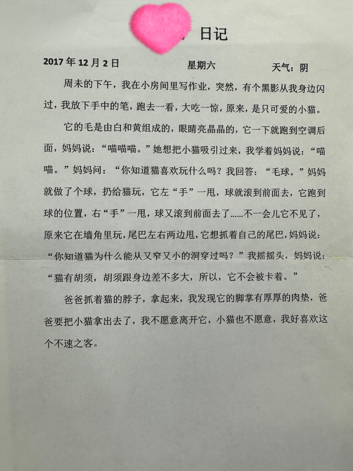 小学二年级语文 作文 日记《猫》