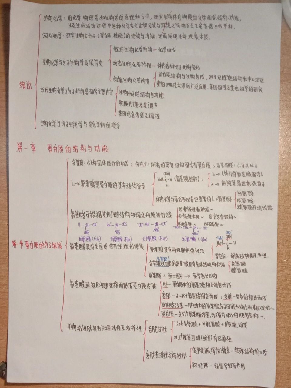 生化思维导图(第一章蛋白质的结构与功能)