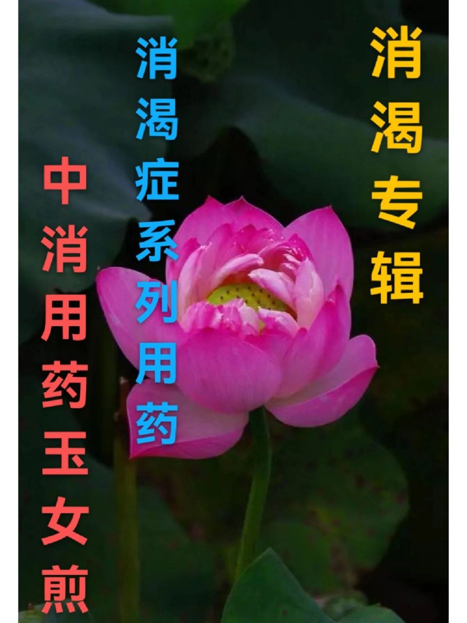 消渴系列用药:中消用药——玉女煎 消渴症患者系列用药(四)/中消用药