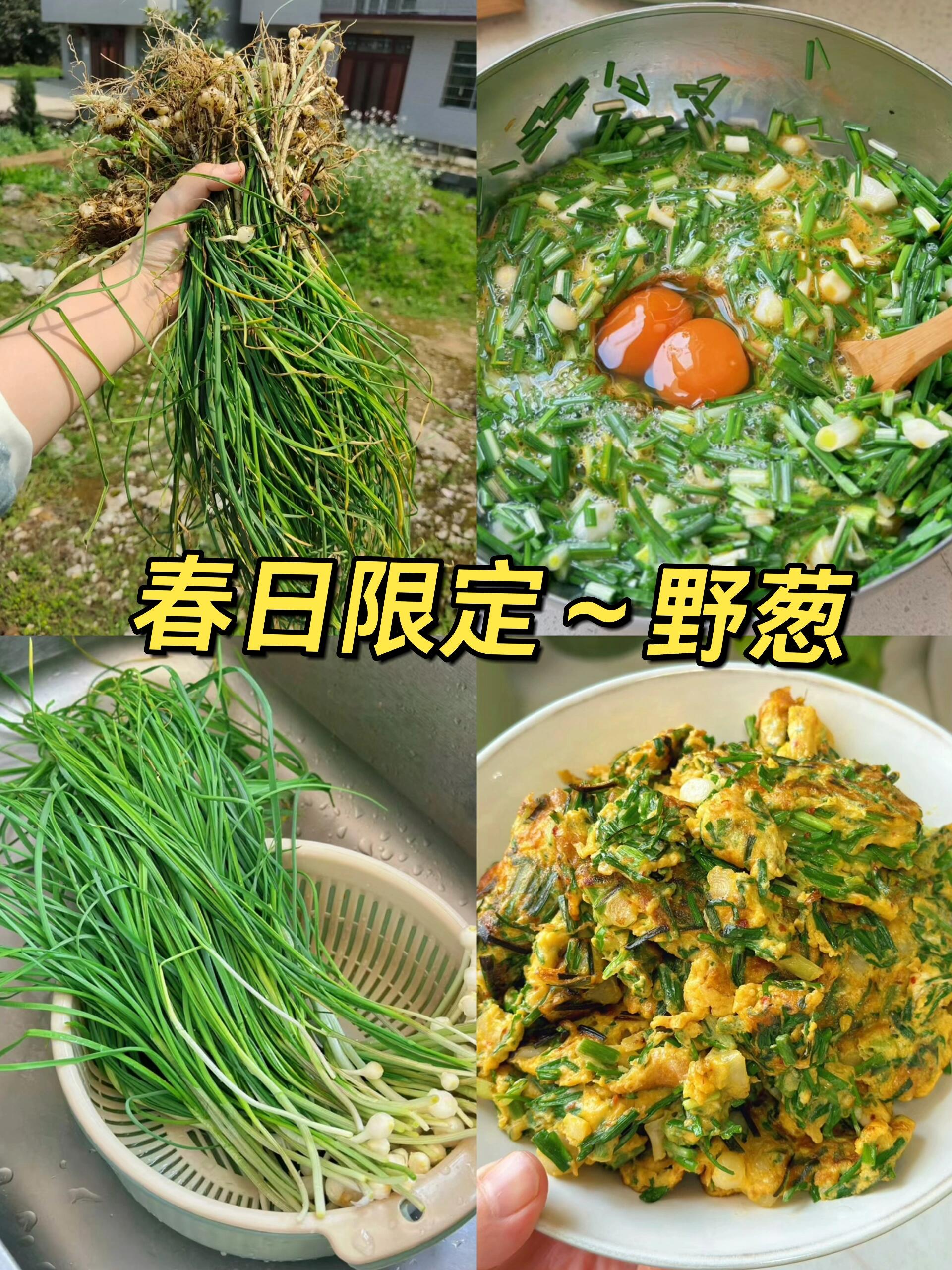 野葱炒鸡蛋图片