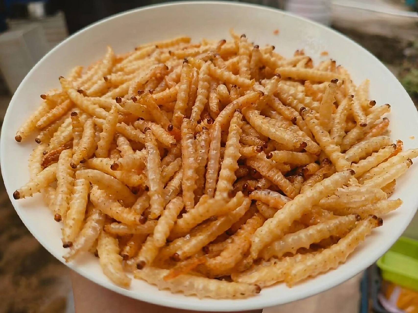 油炸竹虫 高蛋白 香喷喷 安排起来