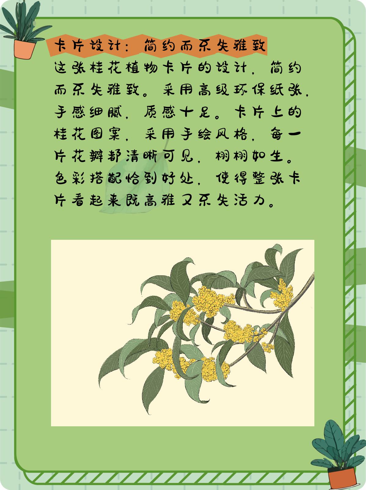 桂花树名片制作小学生图片