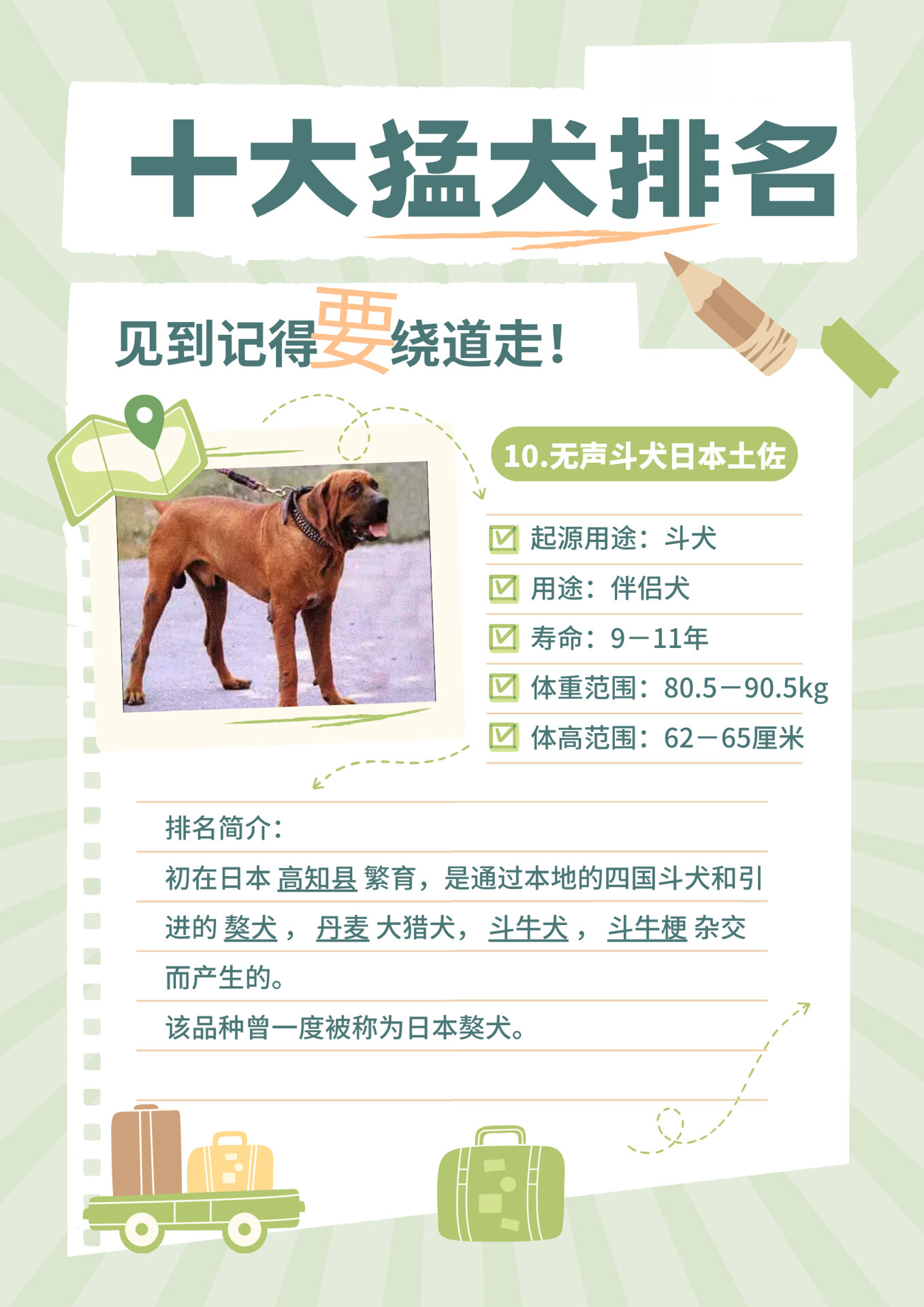 世界十大名犬排行图片