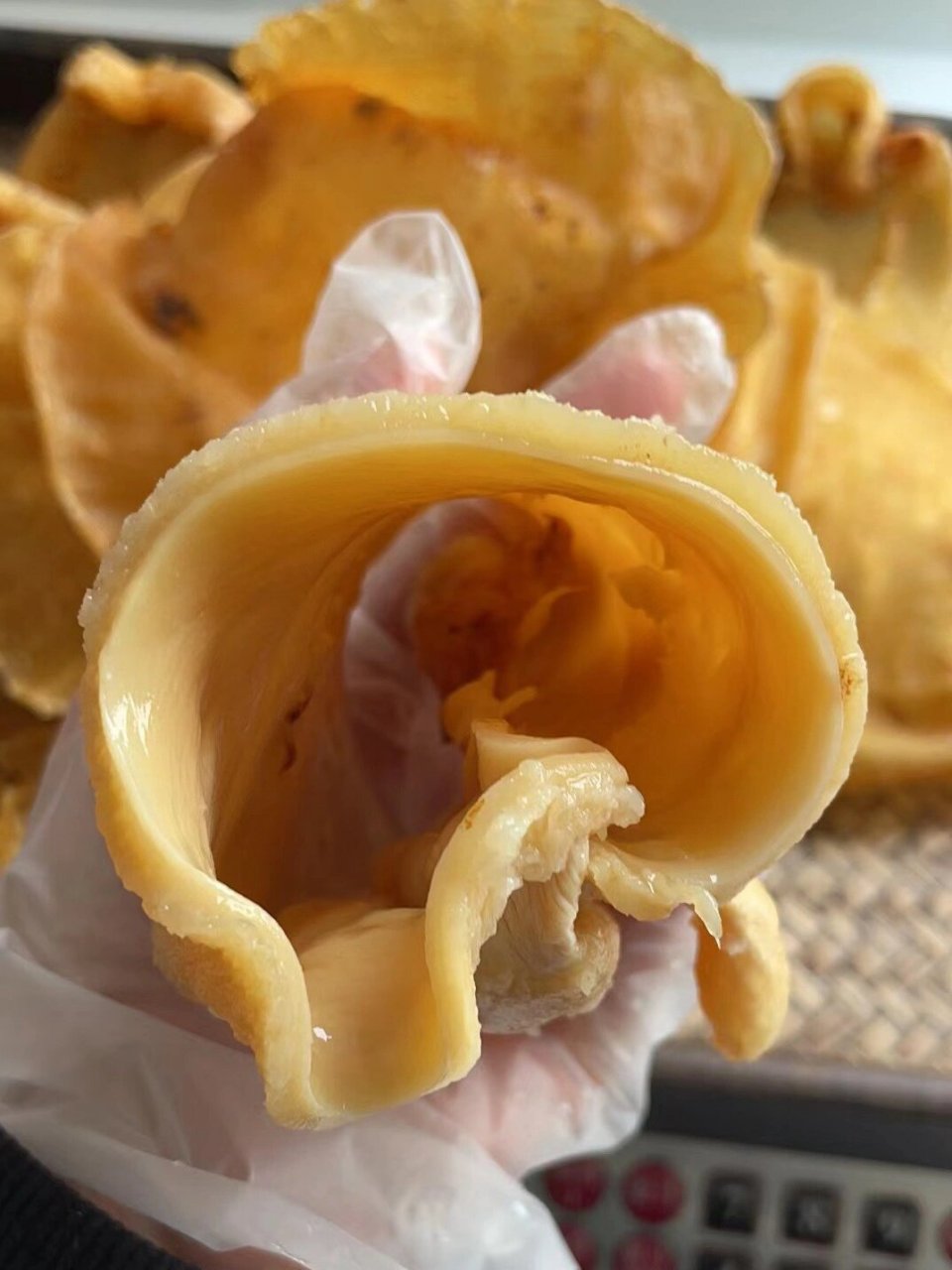 【野生白鳘胶】10年老胶,石首科鱼胶功效都不会差,性价比极其高,口感q